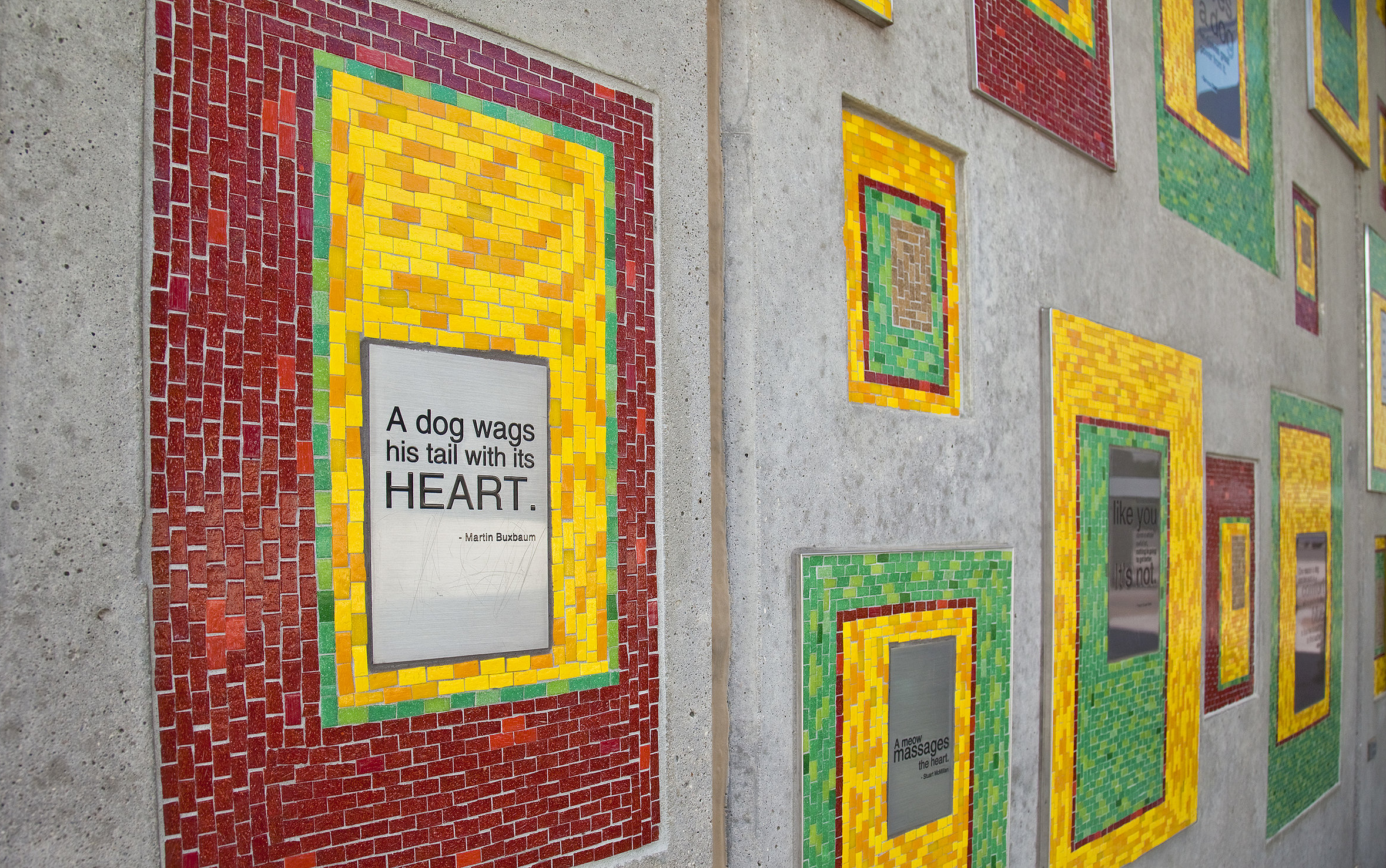 Wichita Animal Shelter, Wichita, Ks - Glass tile, engraved stainless steel, concrete - 2009
