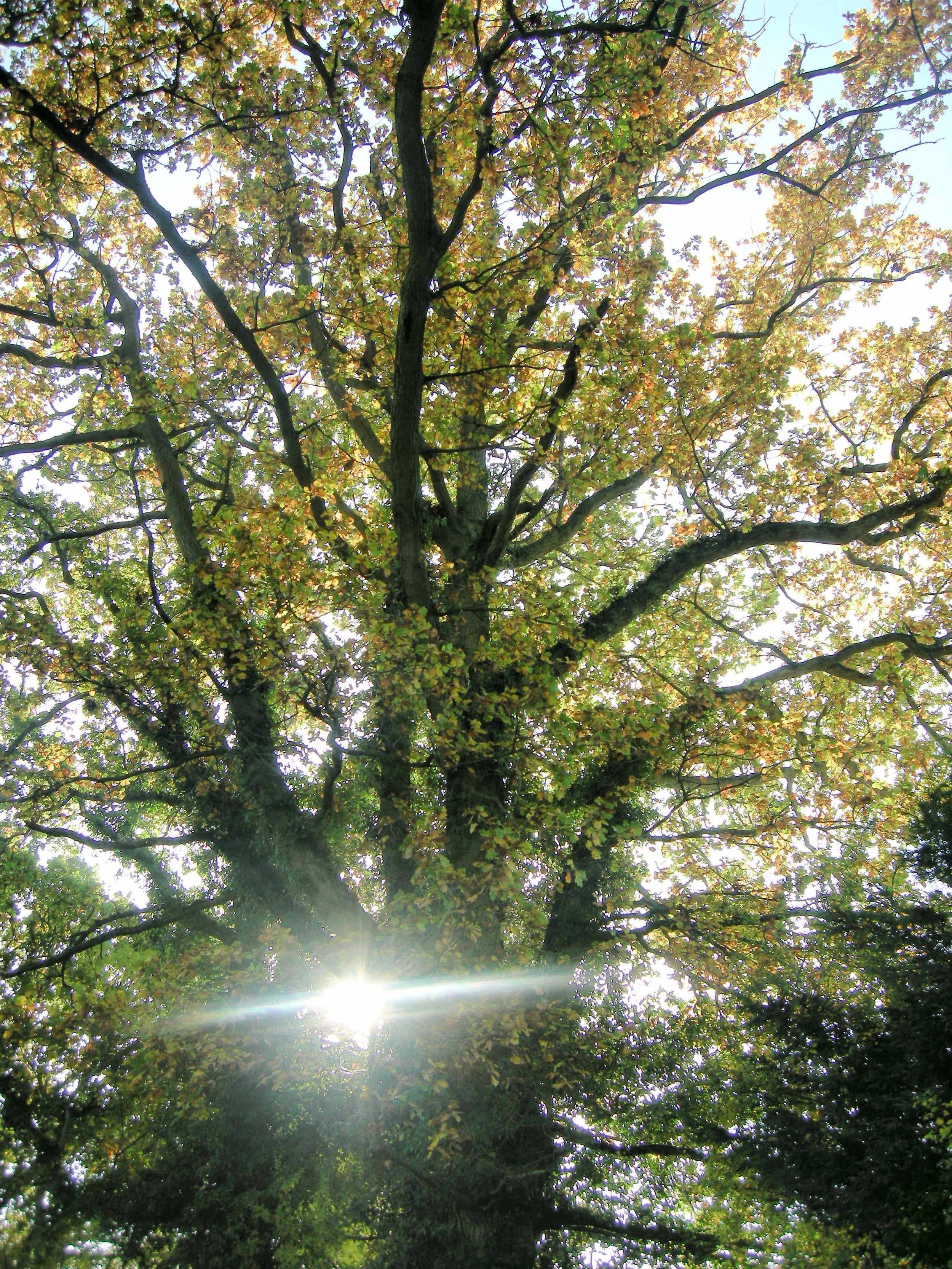 The places I love to write about