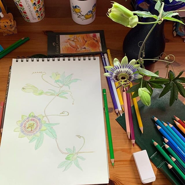I couldn&rsquo;t do justice to the amazing beauty of the passionflower from my garden, but I enjoyed trying and found this activity extremely soothing 😊. This is how I spent this week&rsquo;s artist date on week 3 of Julia Cameron&rsquo;s Artist&rsq