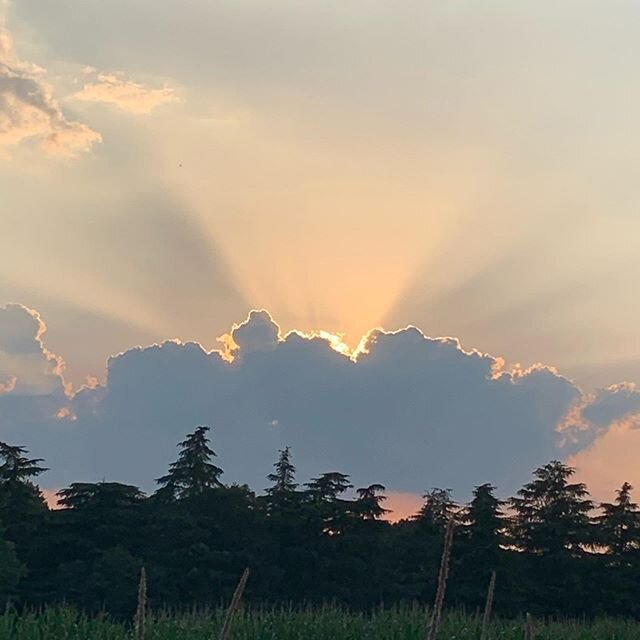 Sun setting behind a big grey cloud shows a golden lining. .
#sunset #tramonto #silverlining #goldenlining #evening #eveningsky #sunrays #italianeveningsky