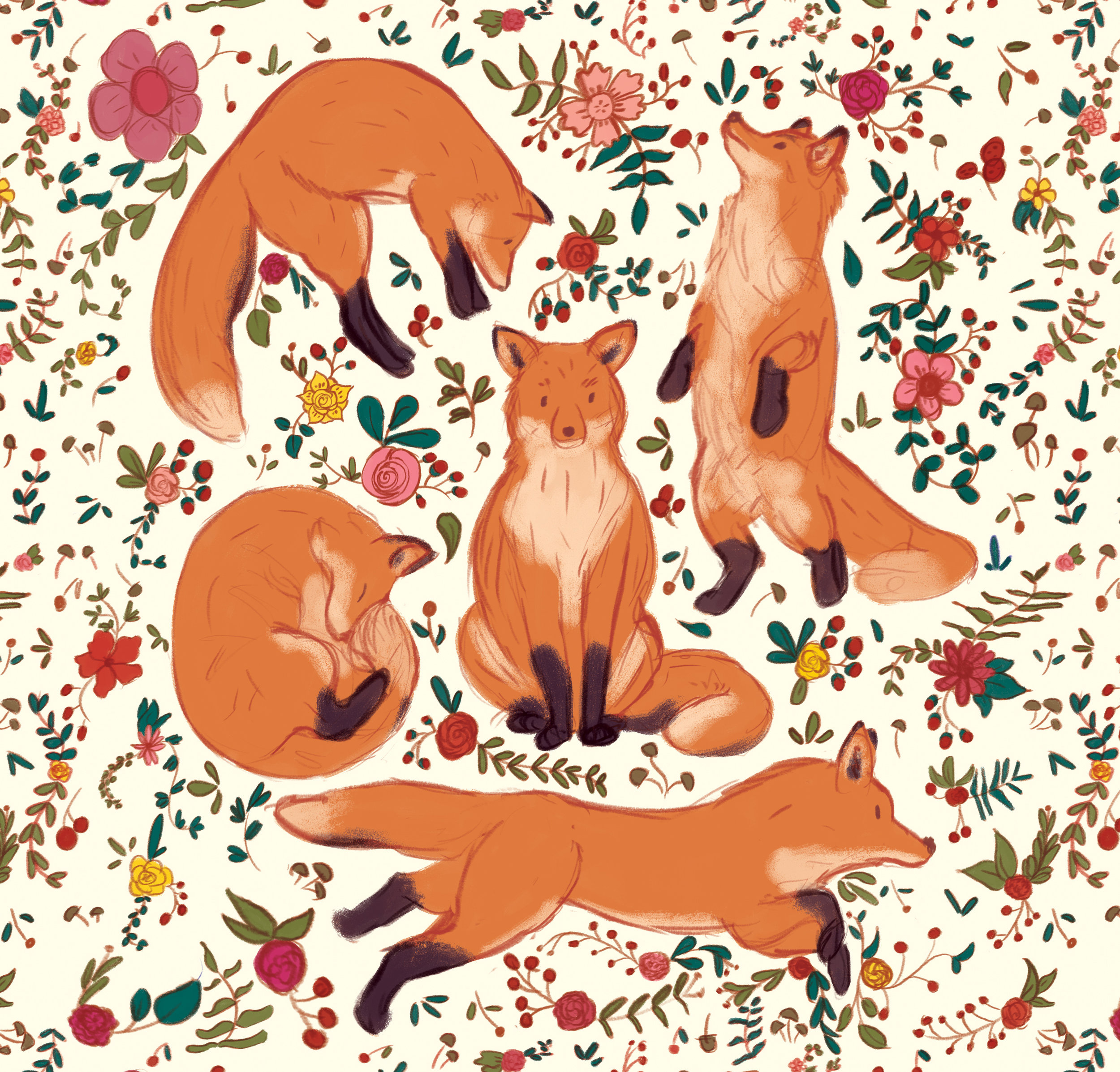 Foxes and Flora
