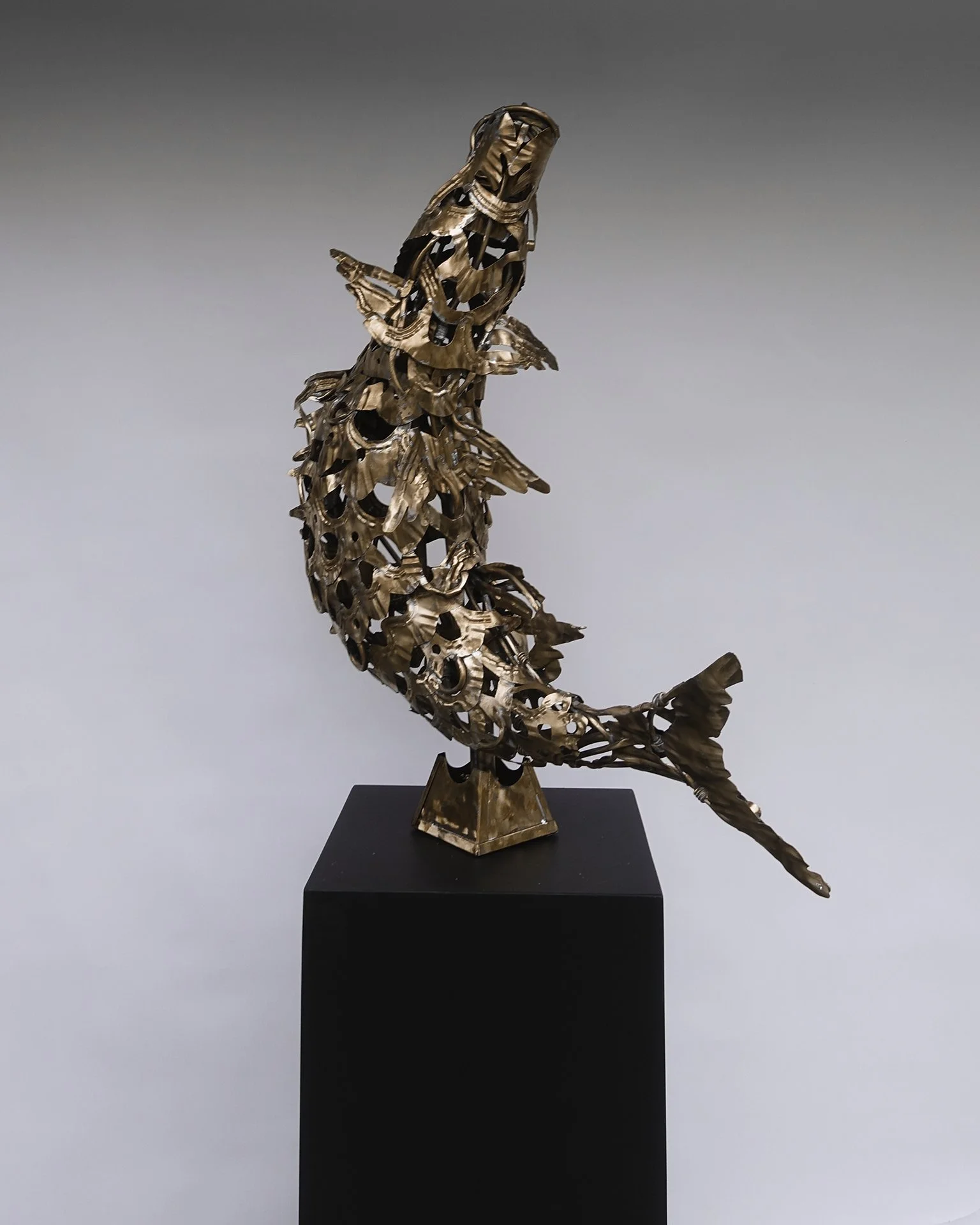 DSC07891-Edit copy.jpg