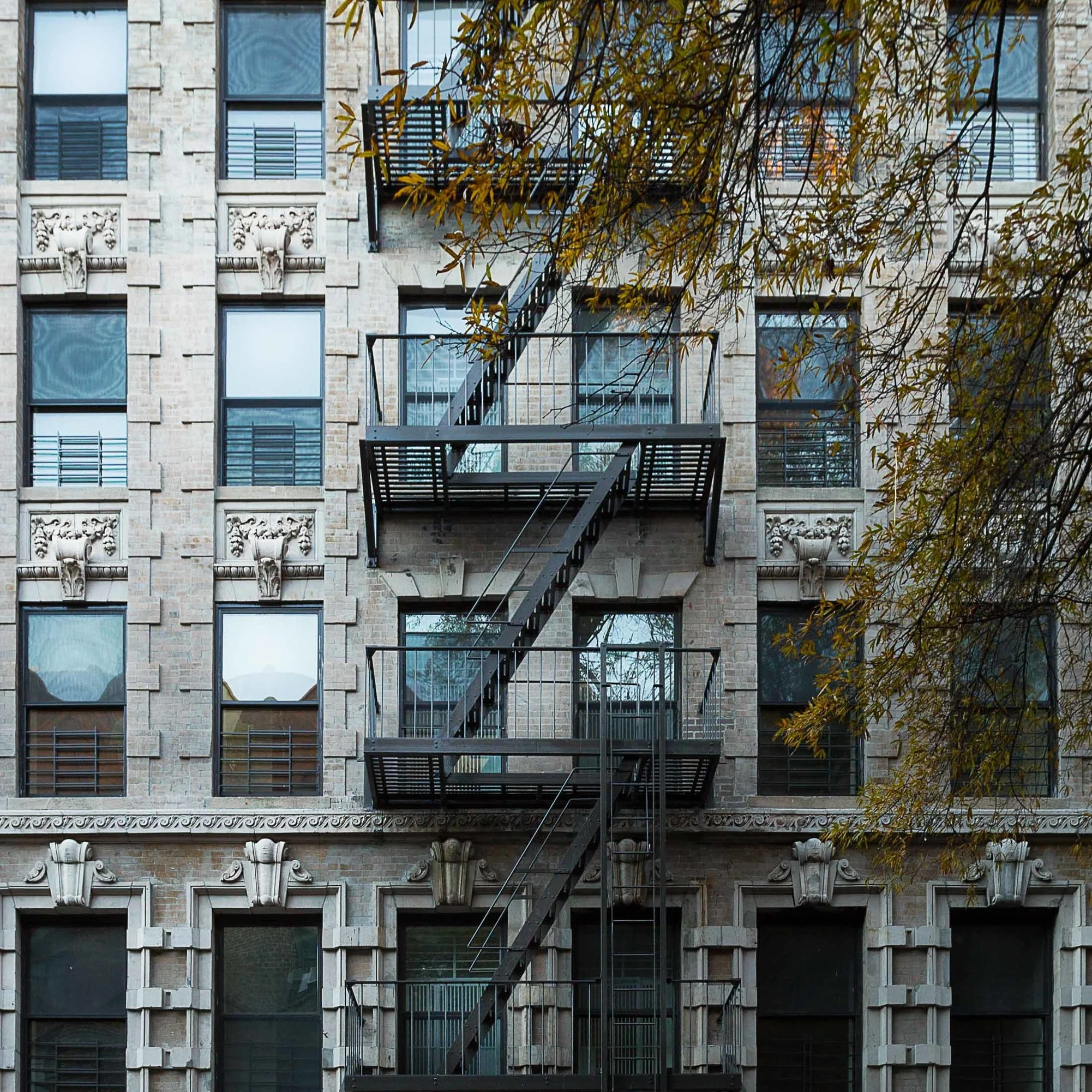 WD6A8834-Edit.jpg