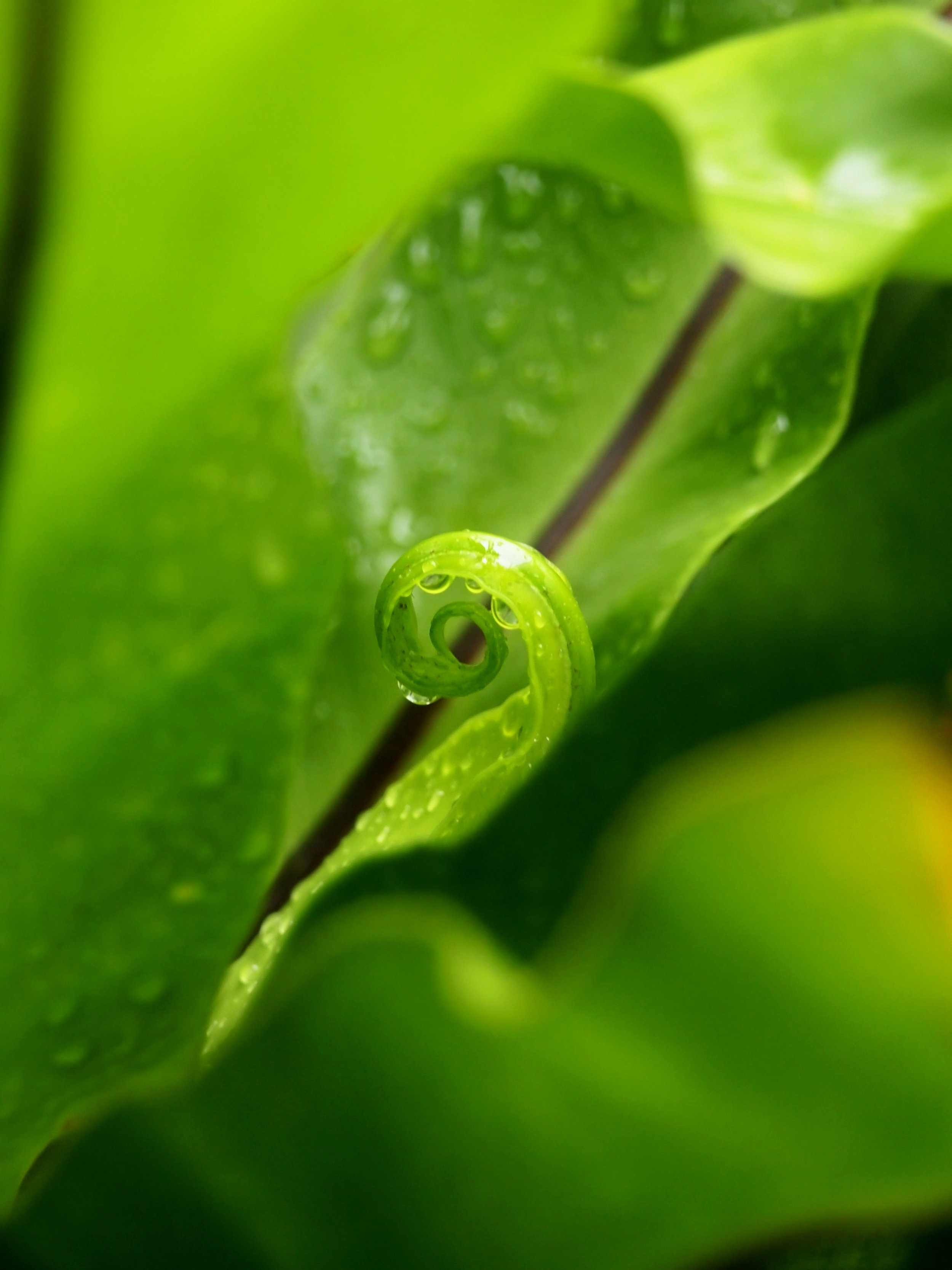 Photo by Meplezii_Ck/iStock / Getty Images