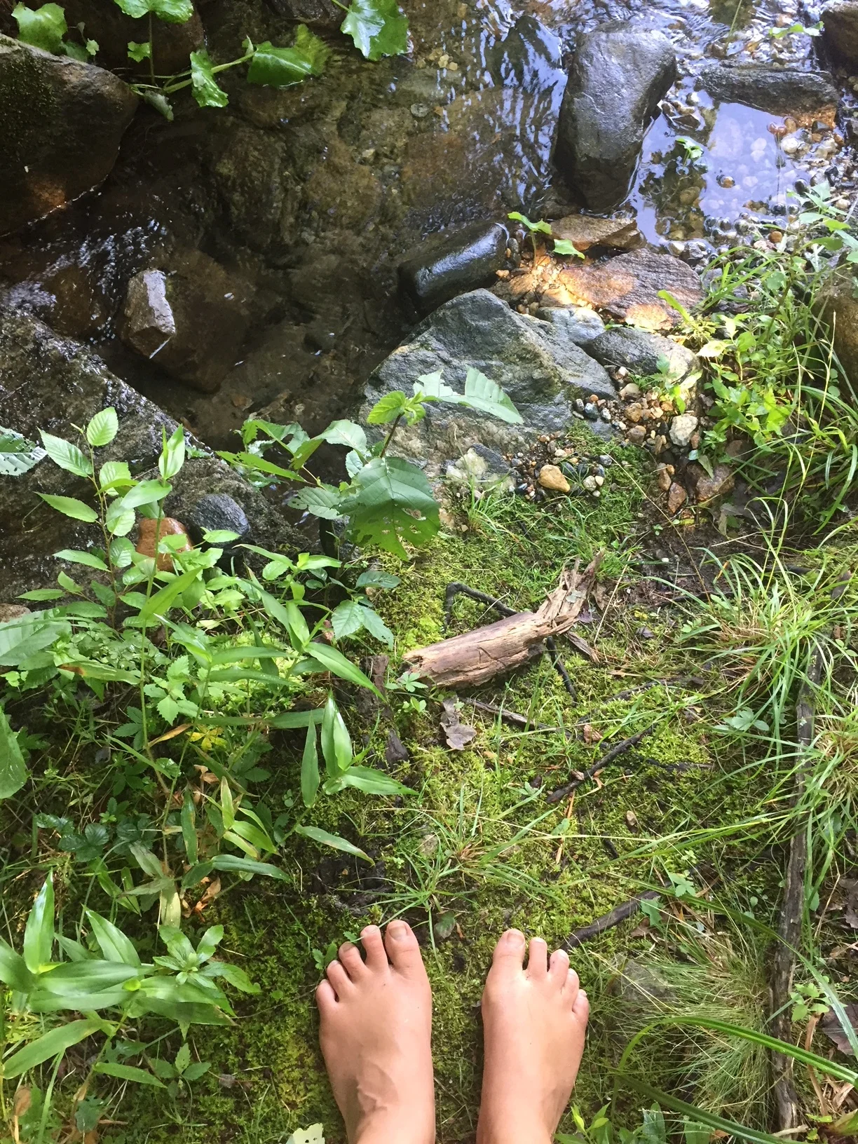 nervous system regulation and health: why should I care? expand your capacity for life