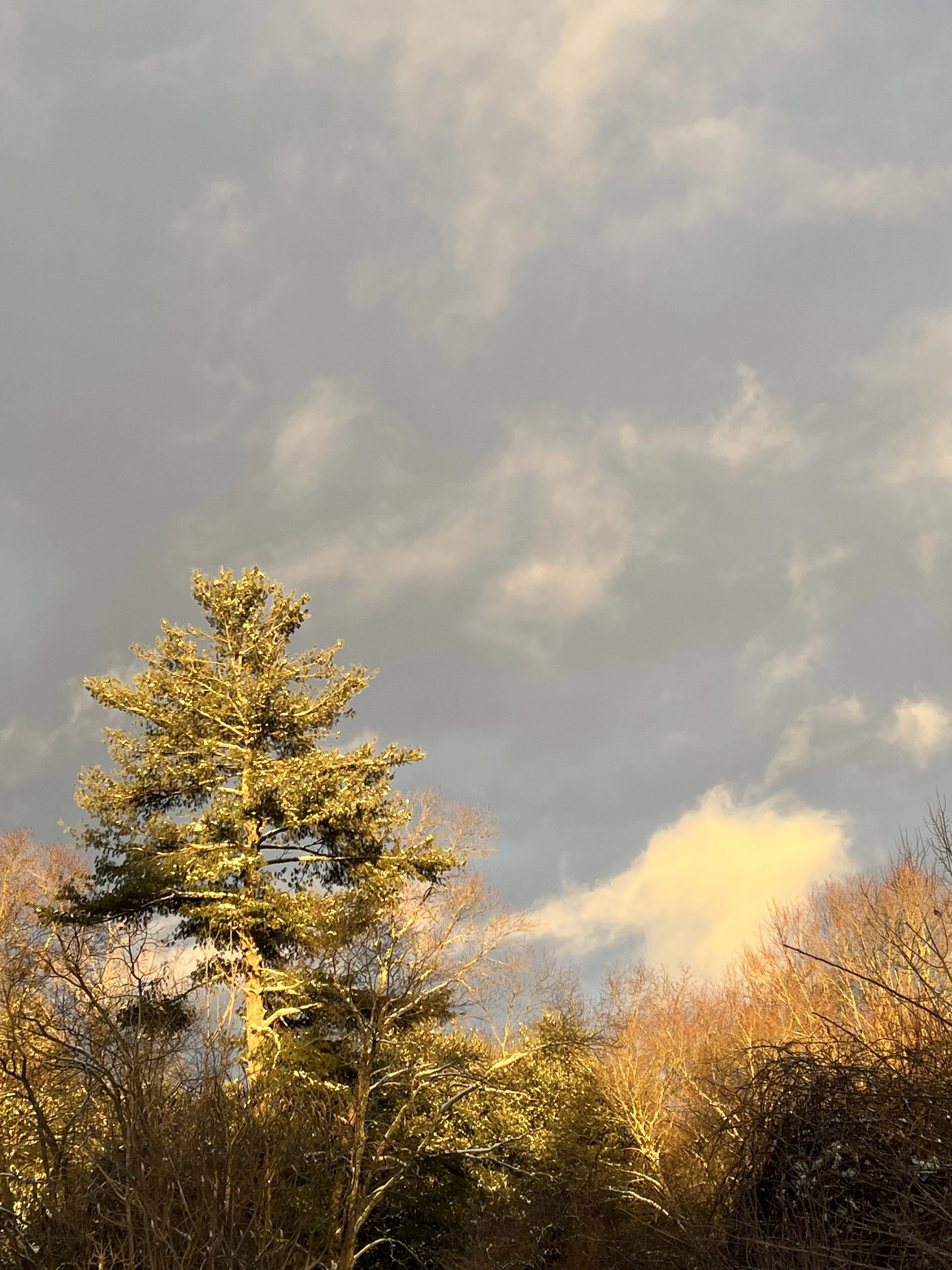 march energies: trust