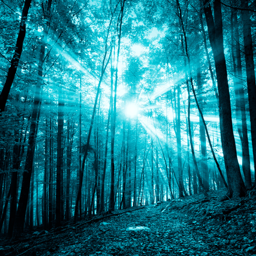 i allow my body to lead