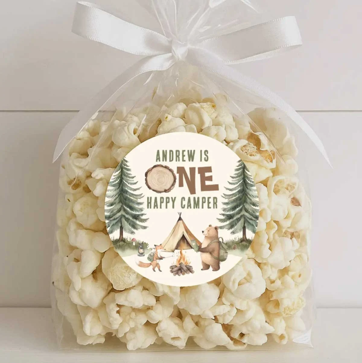 One Happy Camper 1st Birthday Stickers