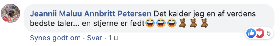 Skærmbillede 2020-11-03 kl. 14.34.51.png