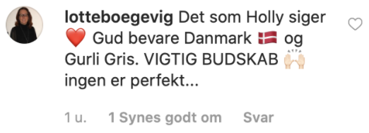 Skærmbillede 2020-11-03 kl. 14.35.07.png