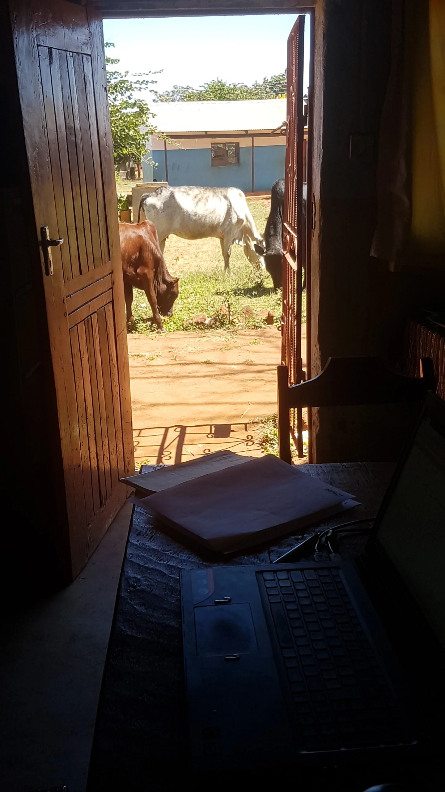 Office View.jpg