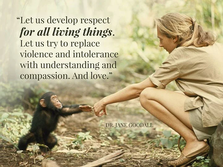 Jane Goodall.jpg