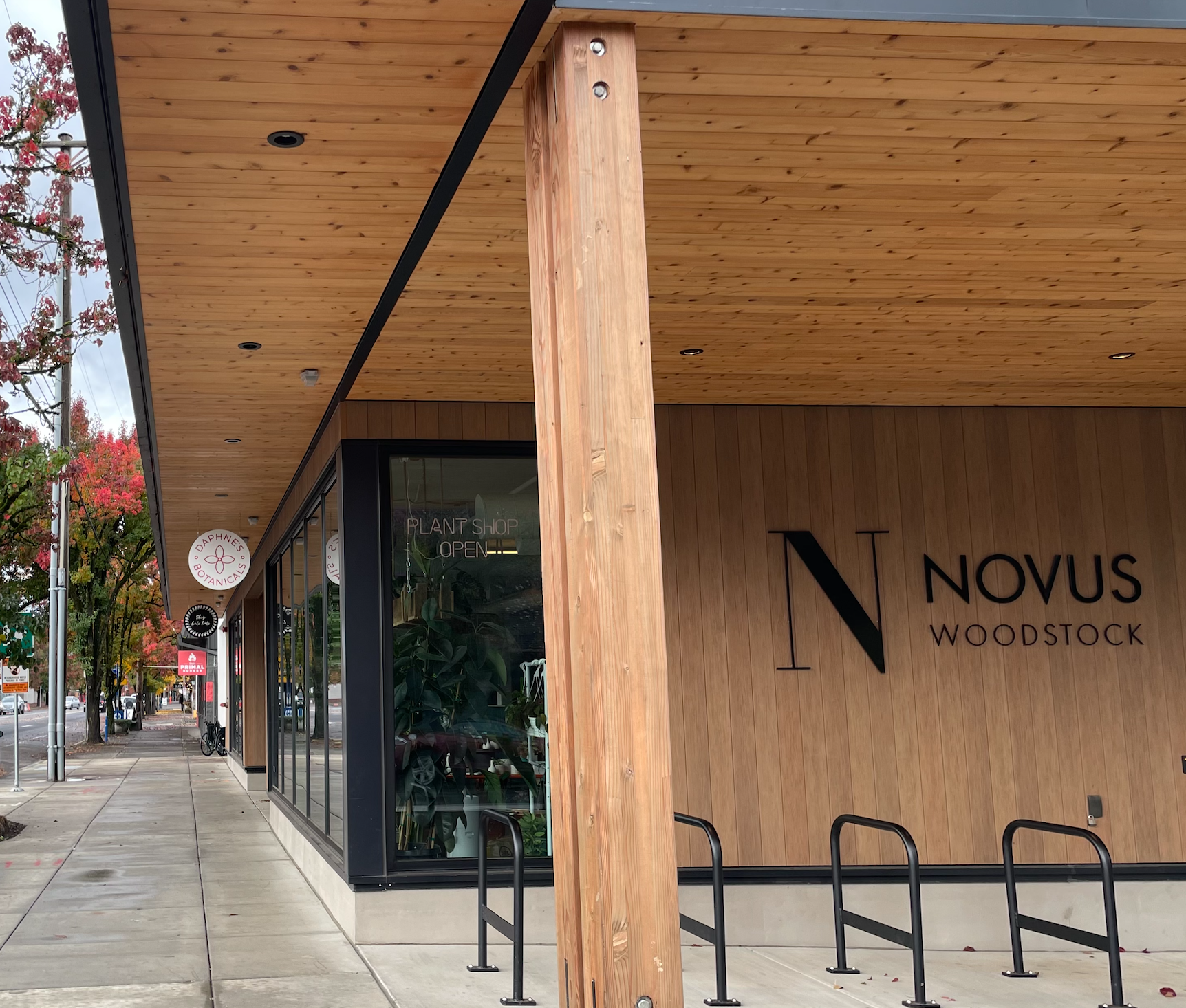 Novus 3.png