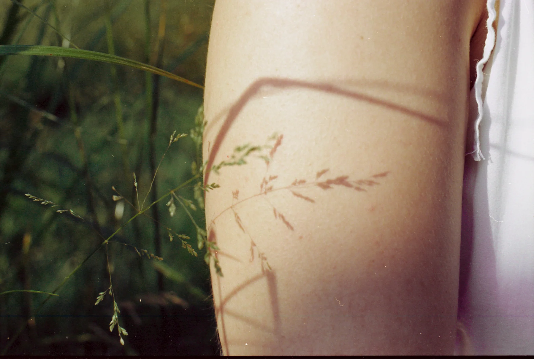 21_Film.jpg