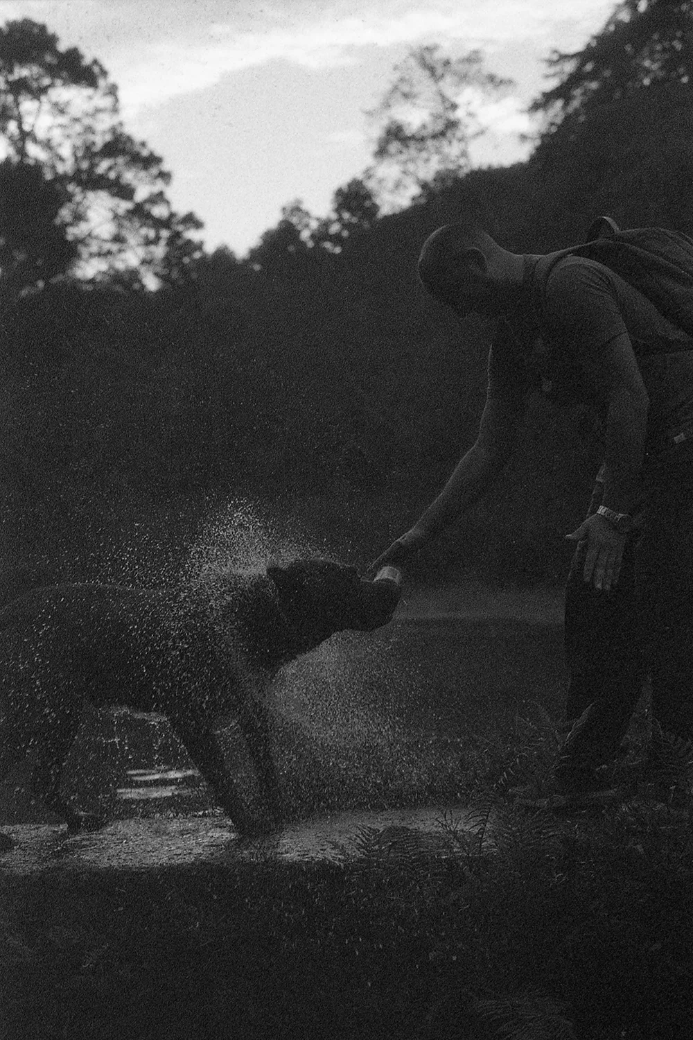 Ilford3200Delta_019.jpg