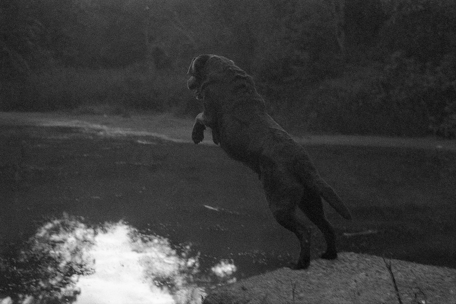 Ilford3200Delta_026.jpg
