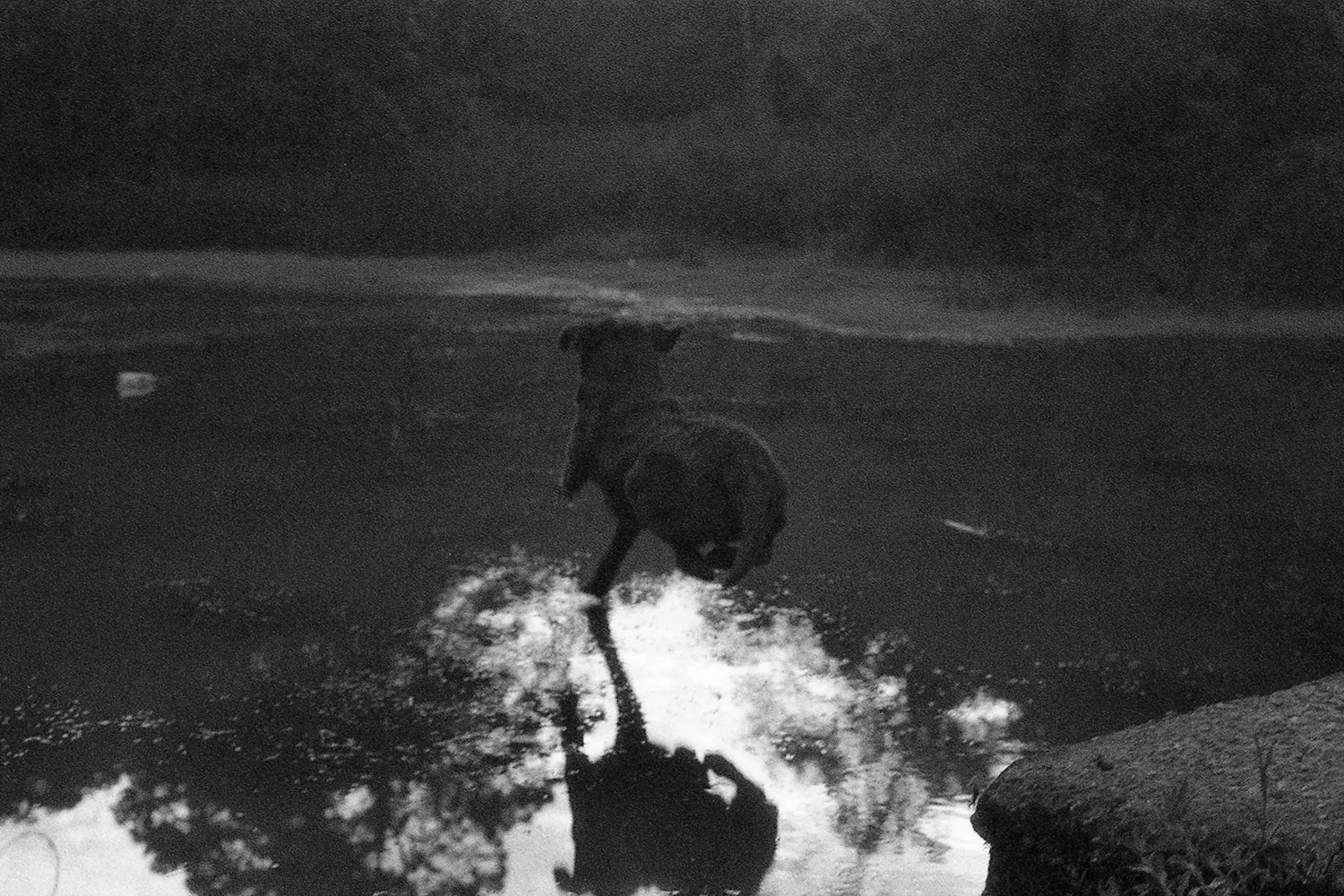 Ilford3200Delta_025.jpg