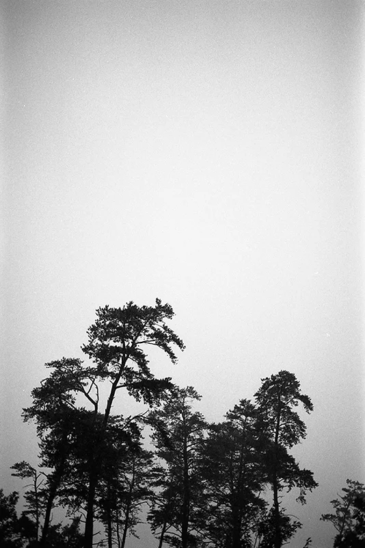 28_Film.jpg