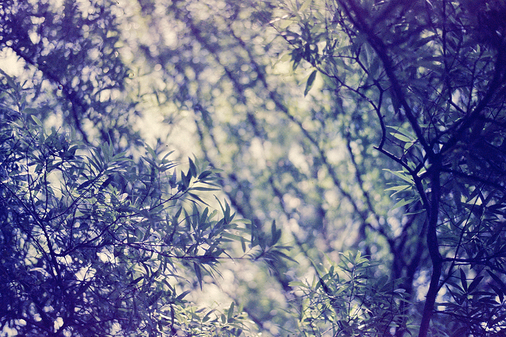 38_Film.jpg