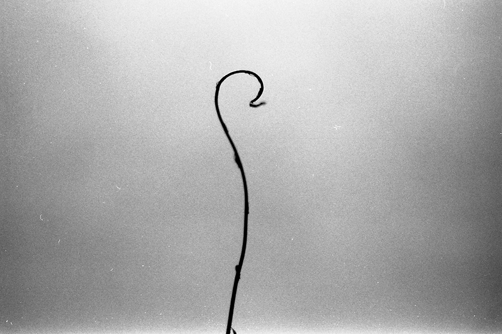 25_Film.jpg