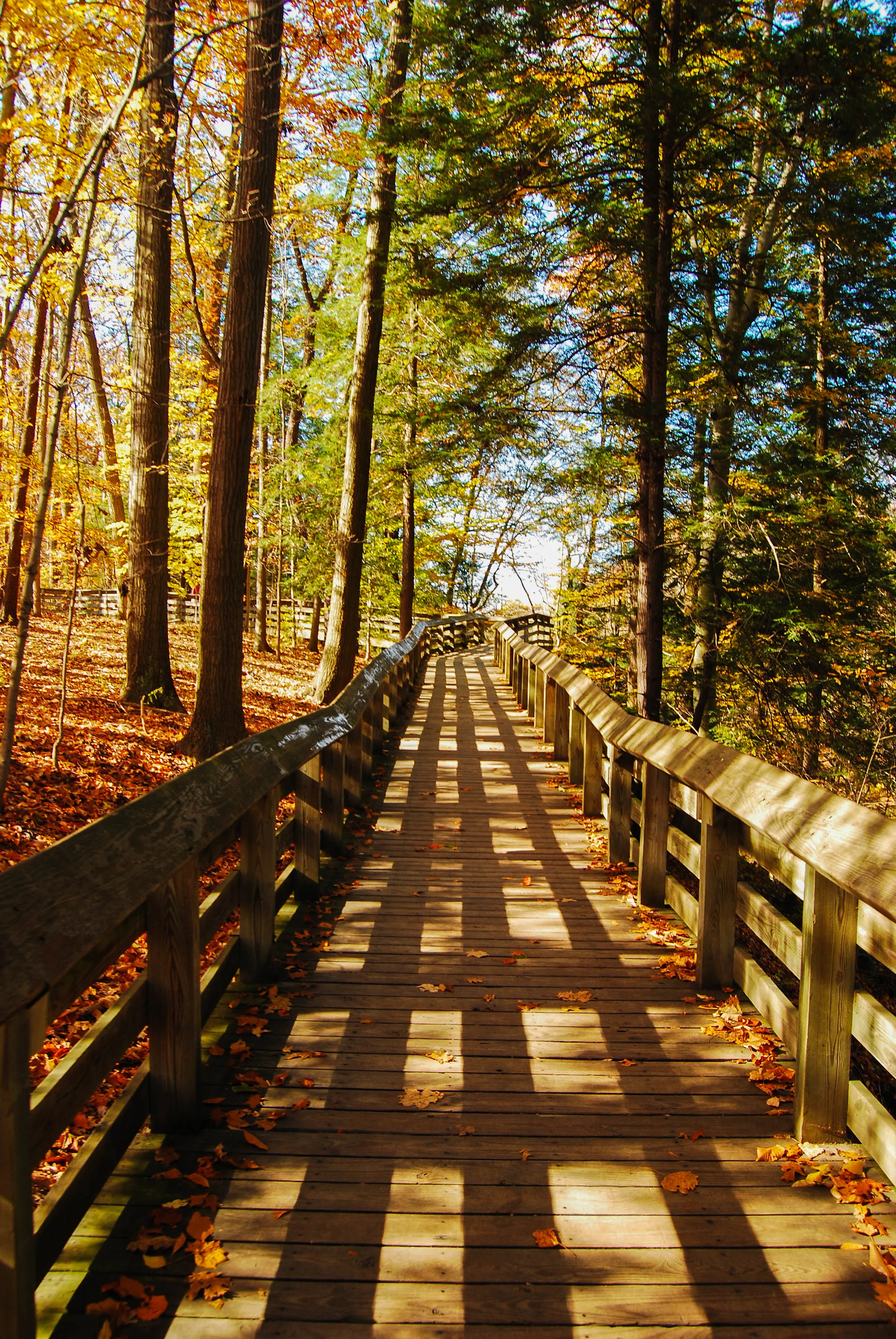 CVNP-2.jpg