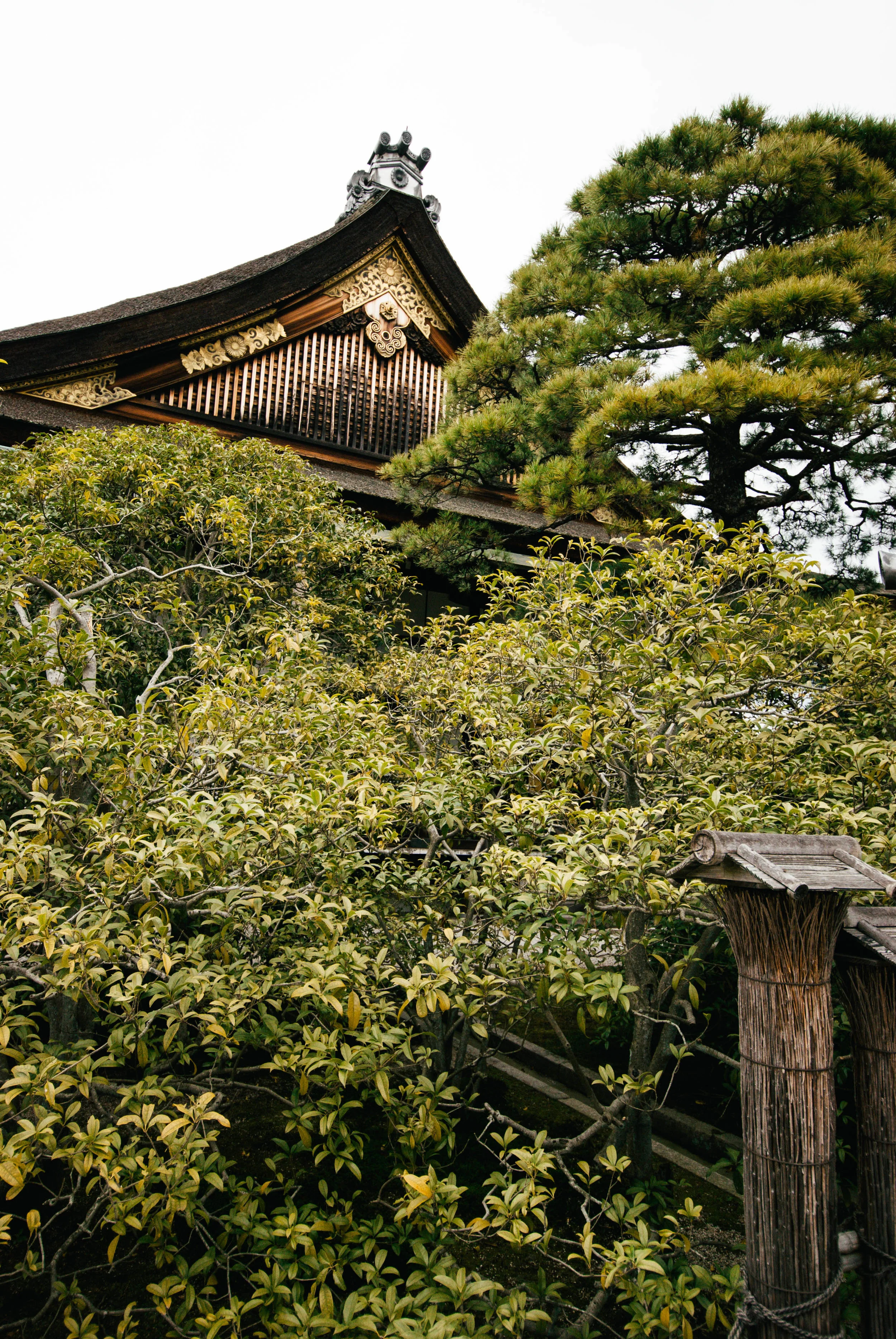 Japan17-38.jpg