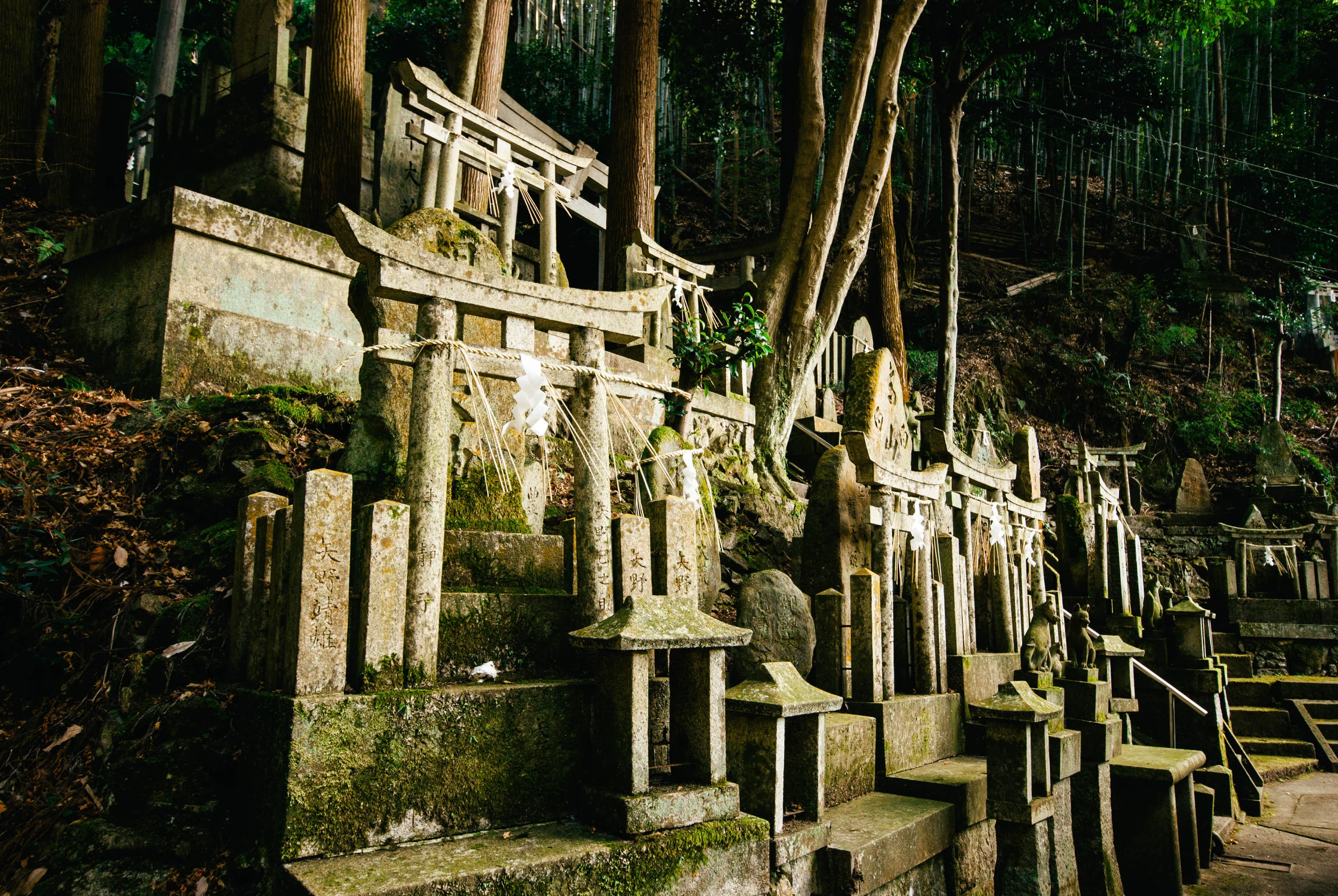 Japan17-92.jpg