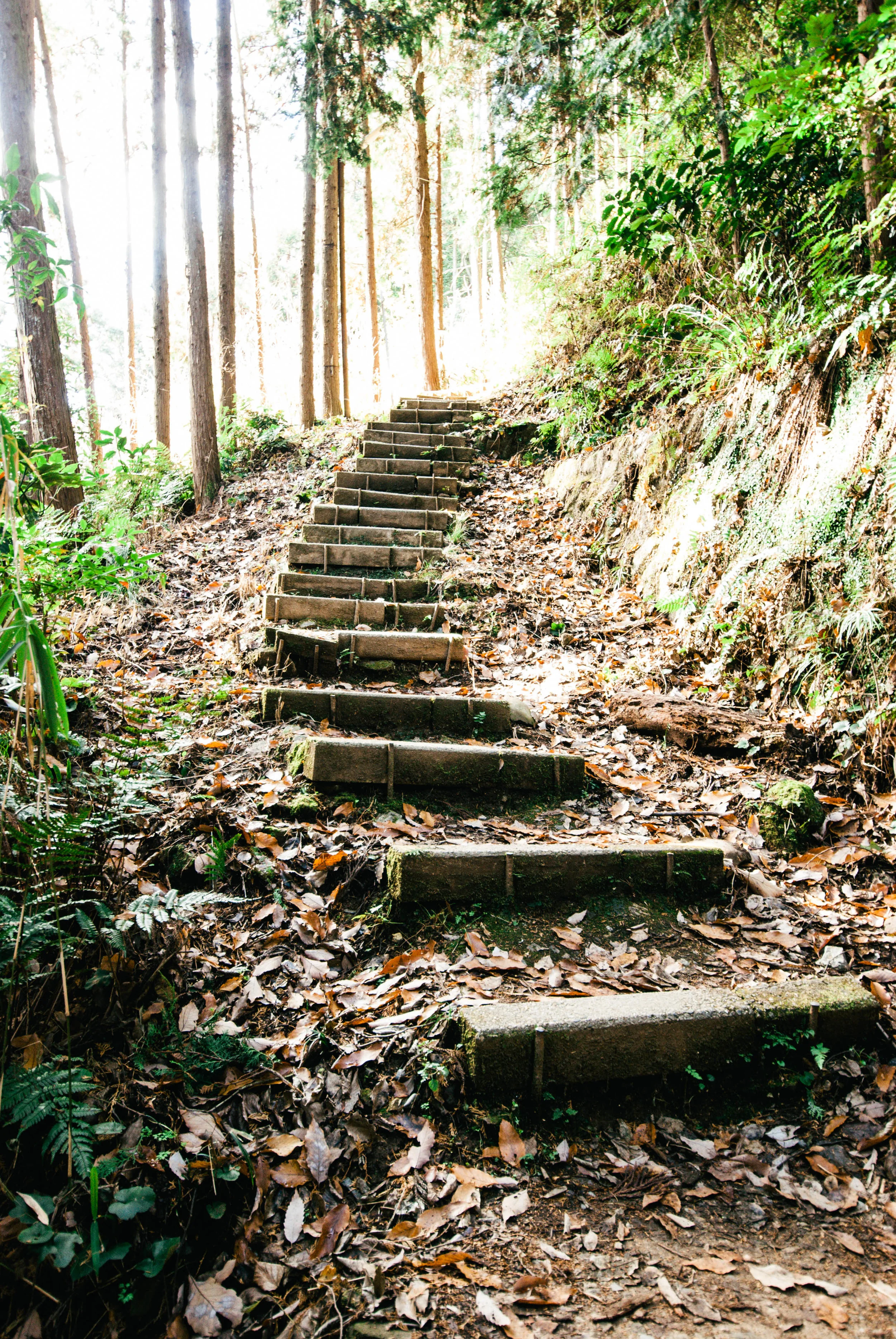 Japan17-93.jpg
