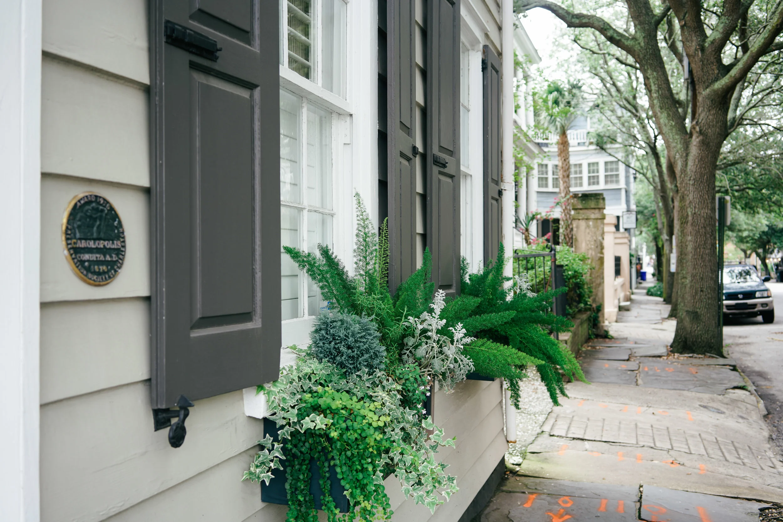 Charleston-23.jpg