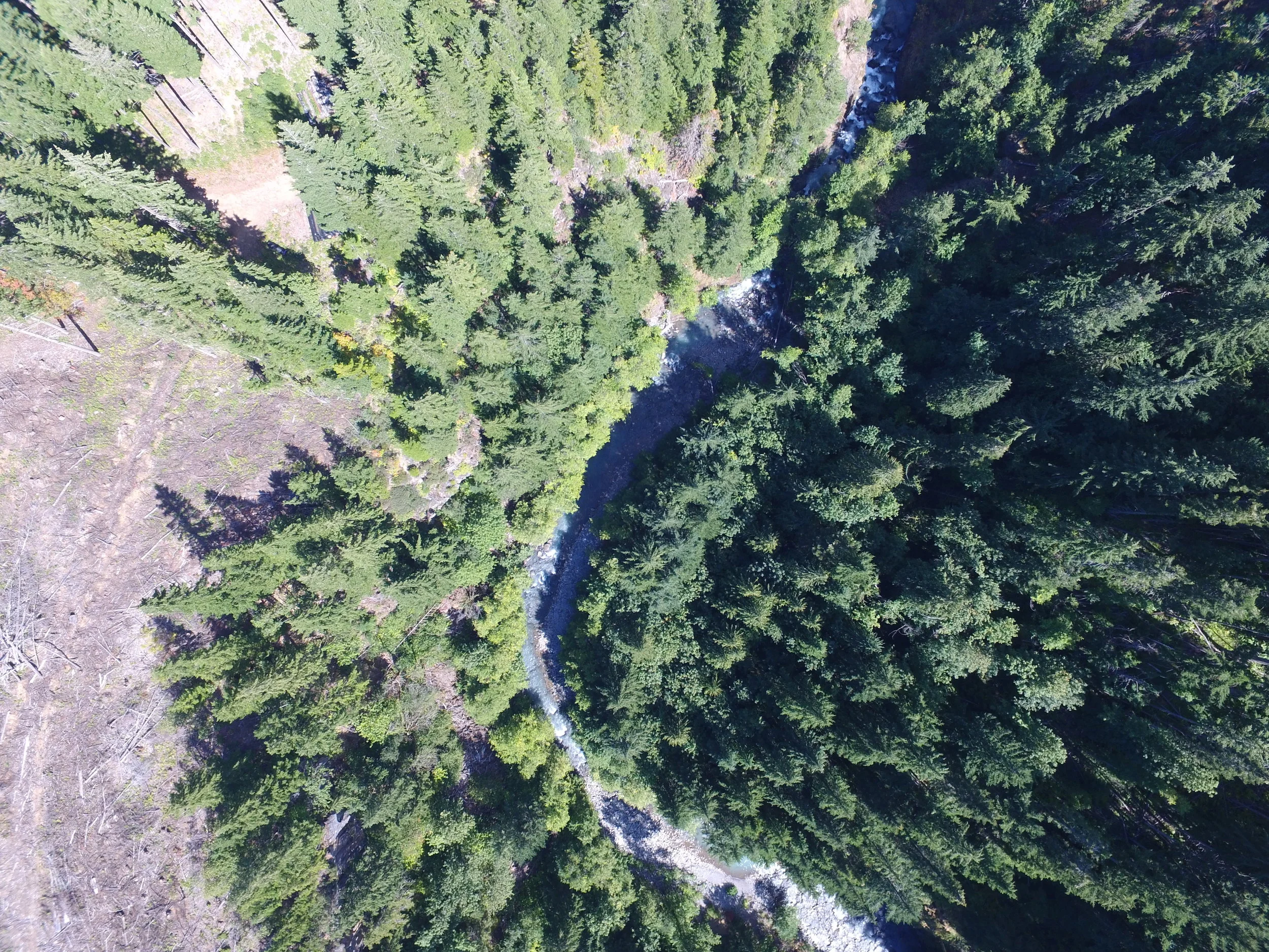 DJI_0004.JPG