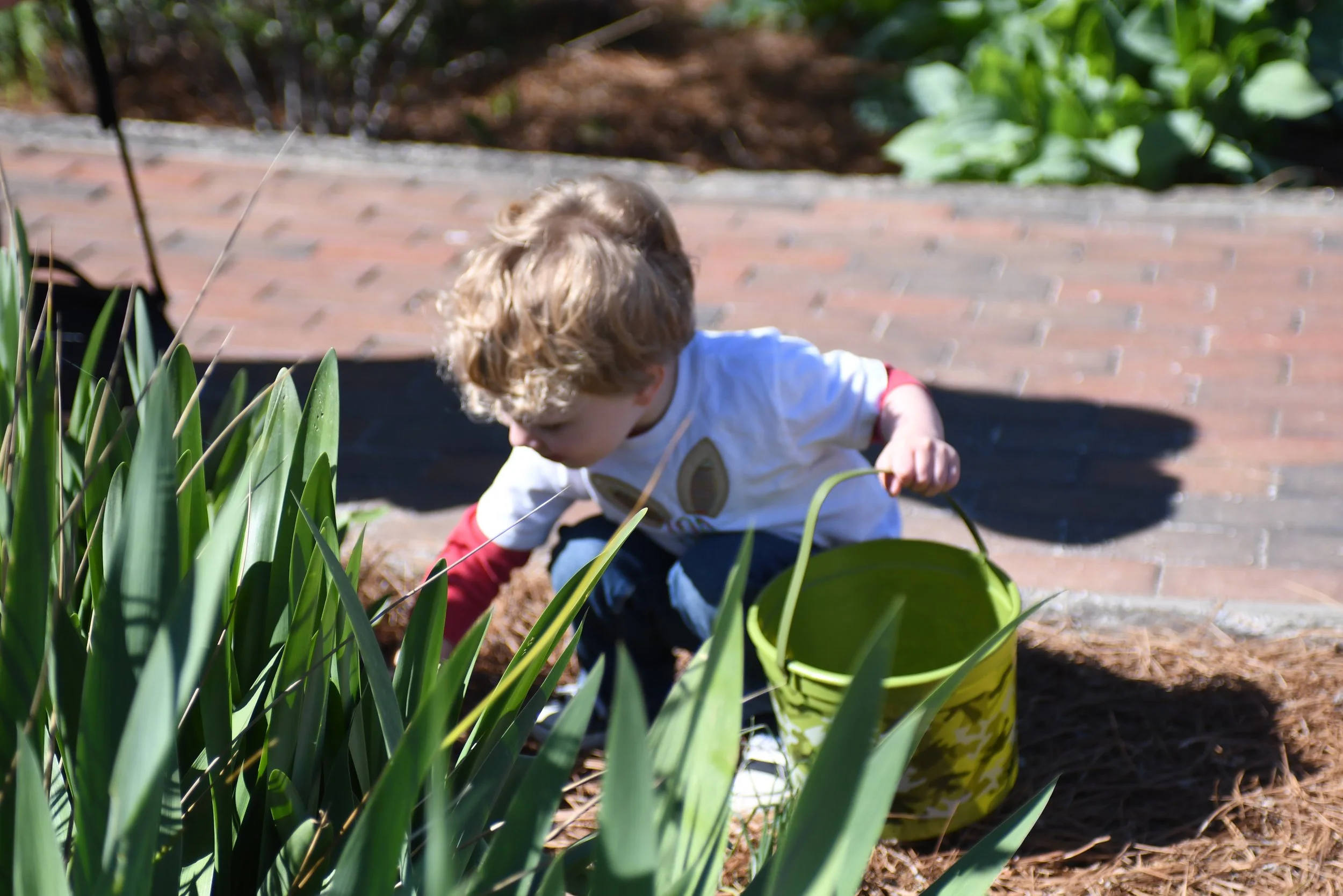 Easter Egg Hunt - April 8, 2017