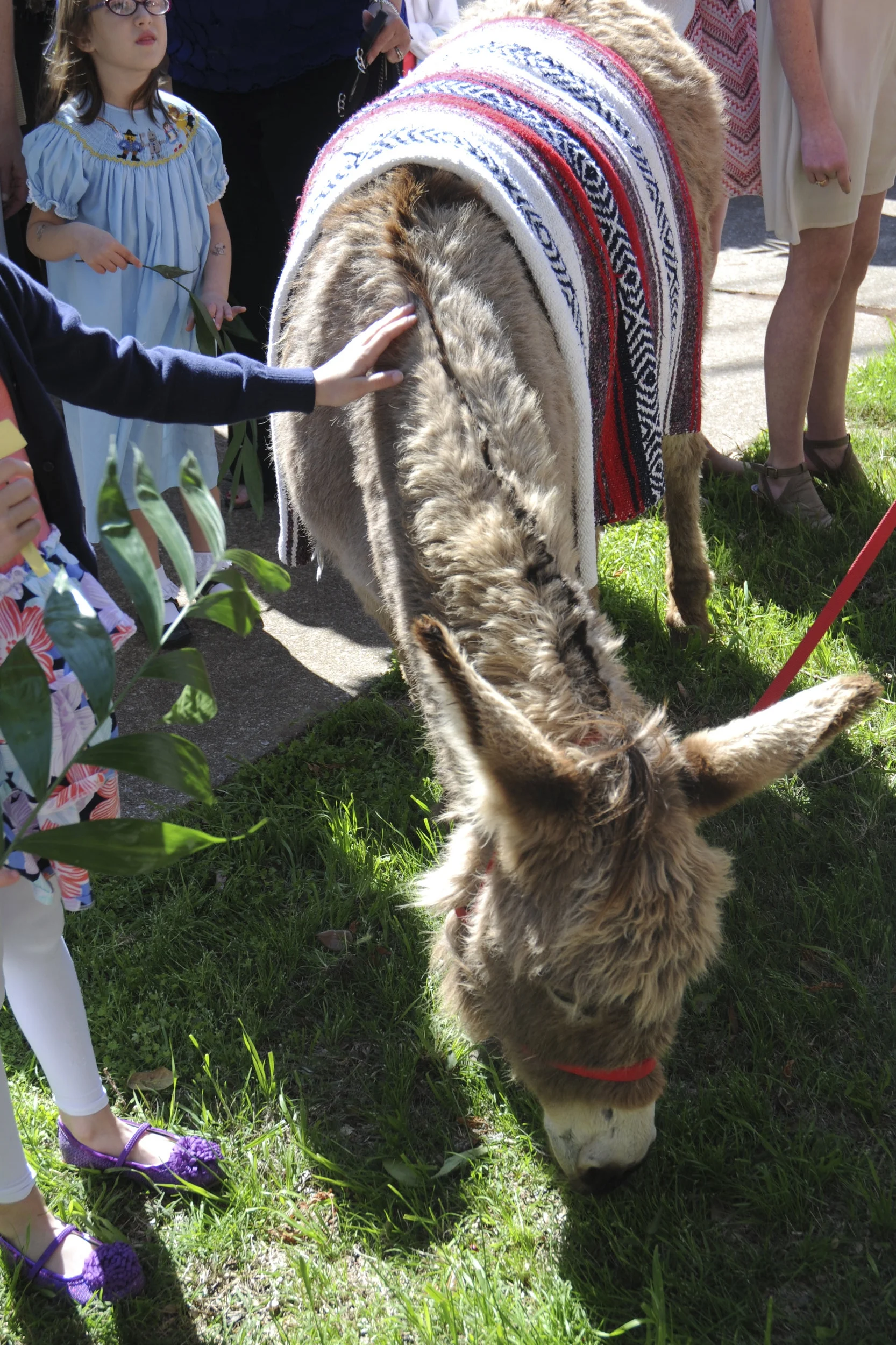 Palm Sunday Procession - April 9, 2017