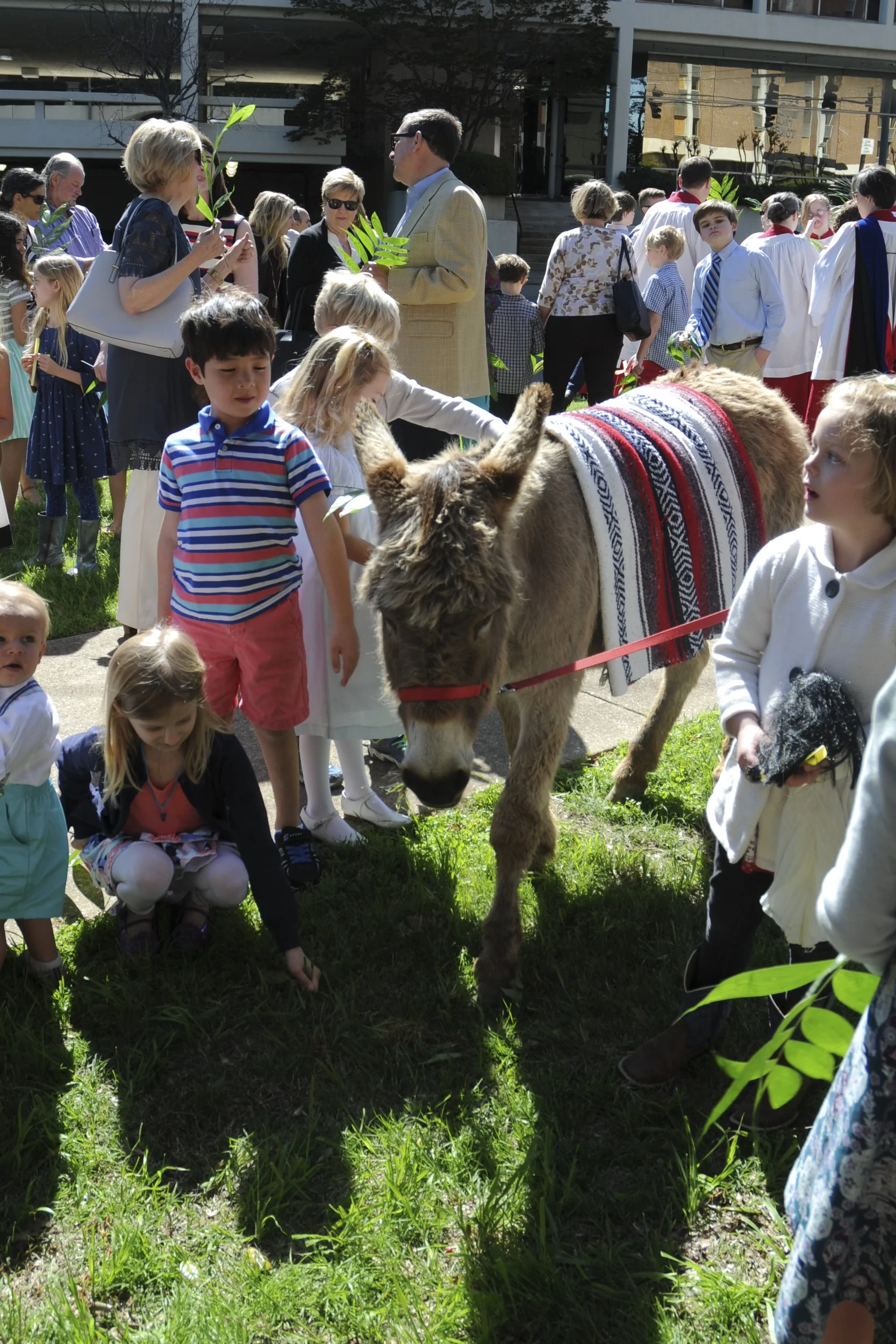 Palm Sunday Procession - April 9, 2017