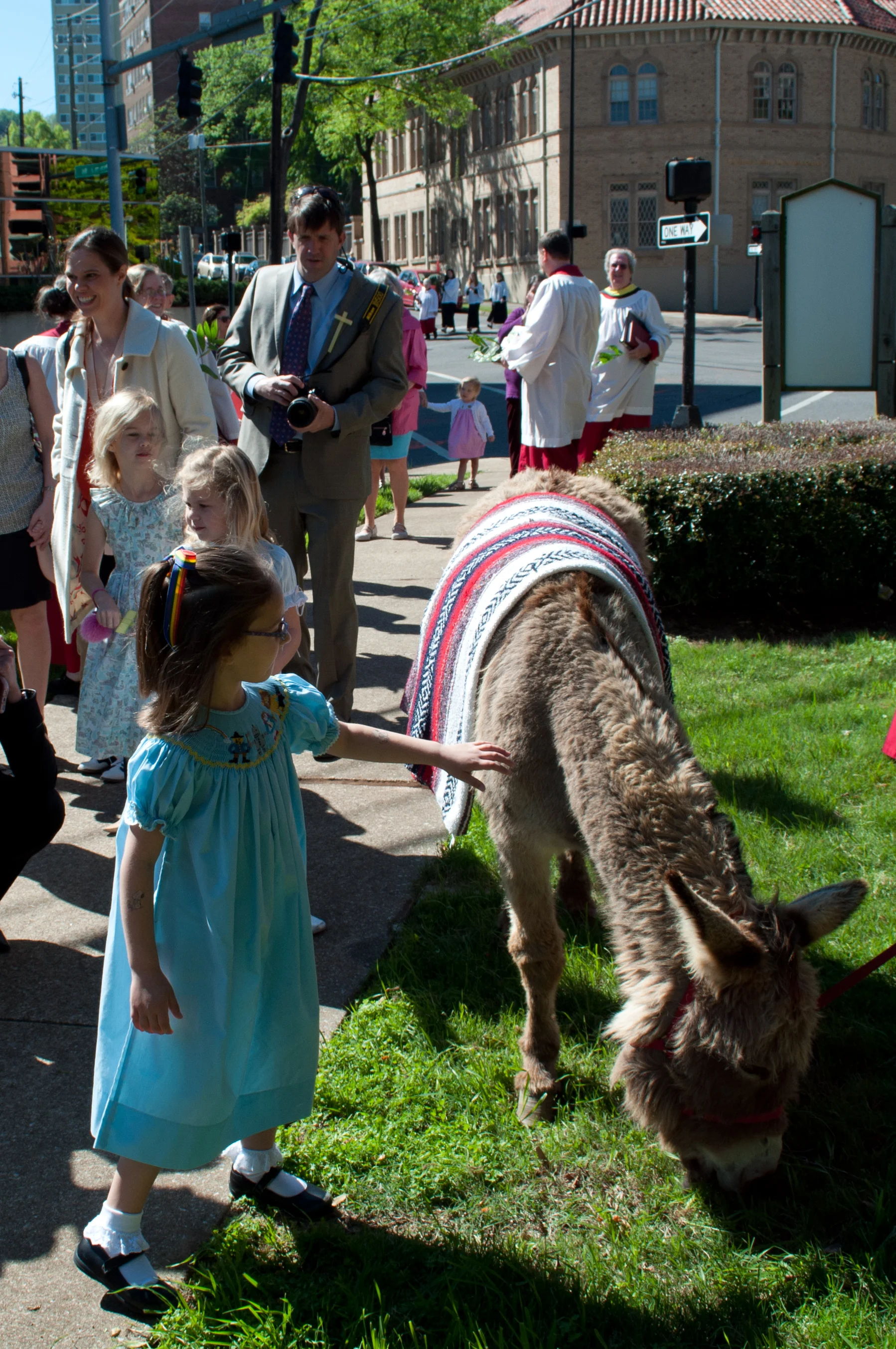 Palm Sunday - April 9, 2017