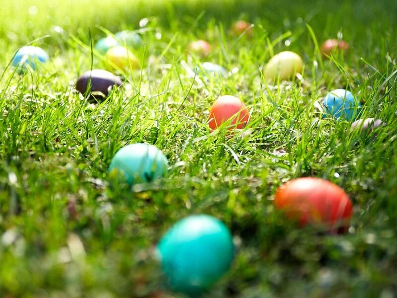 Church Picnic and Easter Egg Hunt
