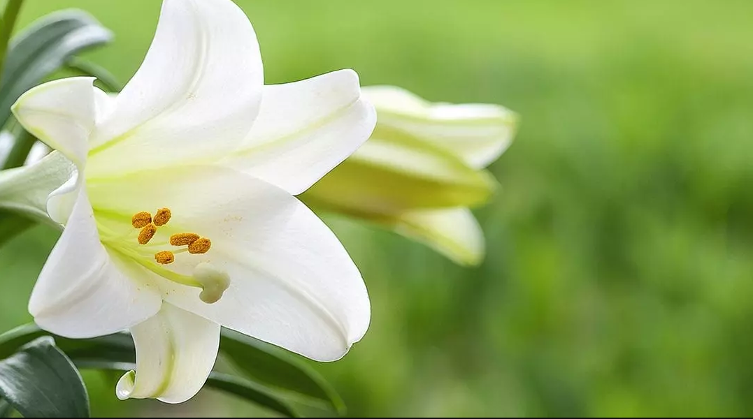 April 17, 2022 - Easter Sunday