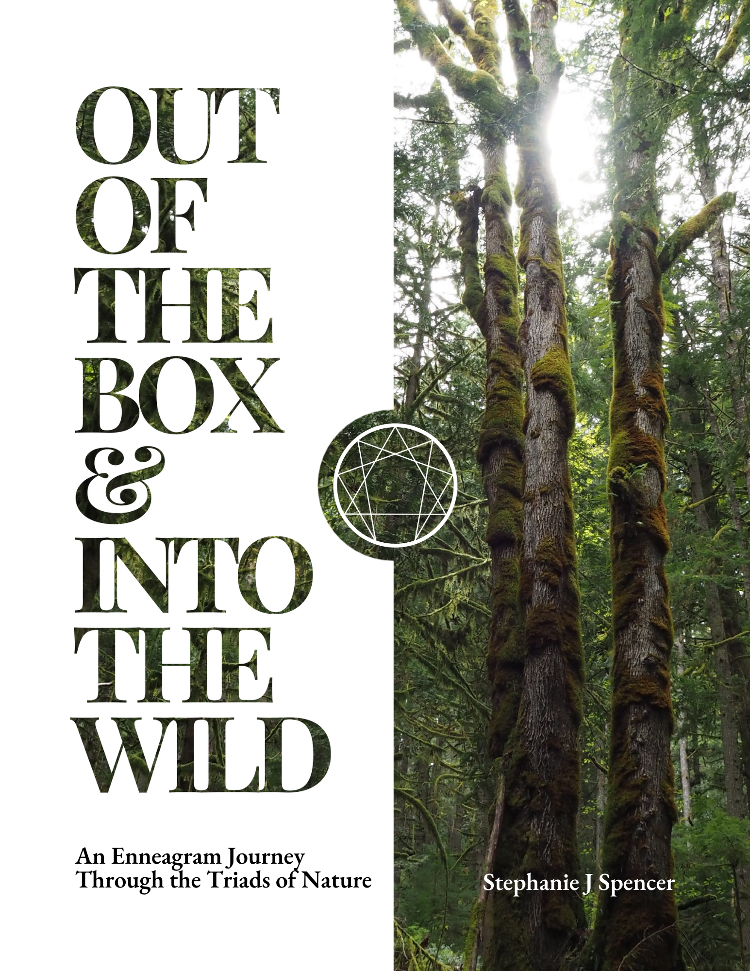 Out of the Box & Into the Wild