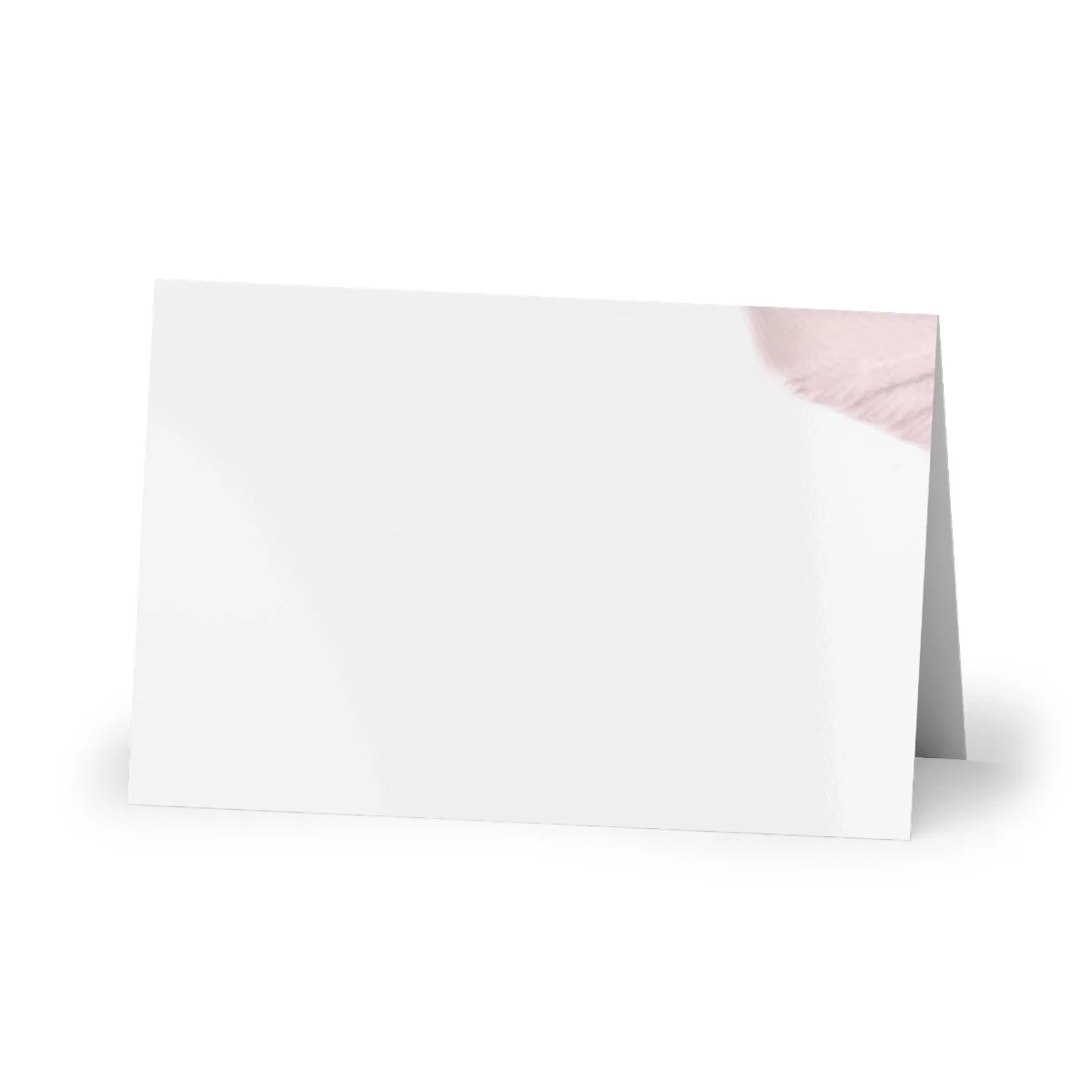 d518b9f0f86673701a553daa477b9209