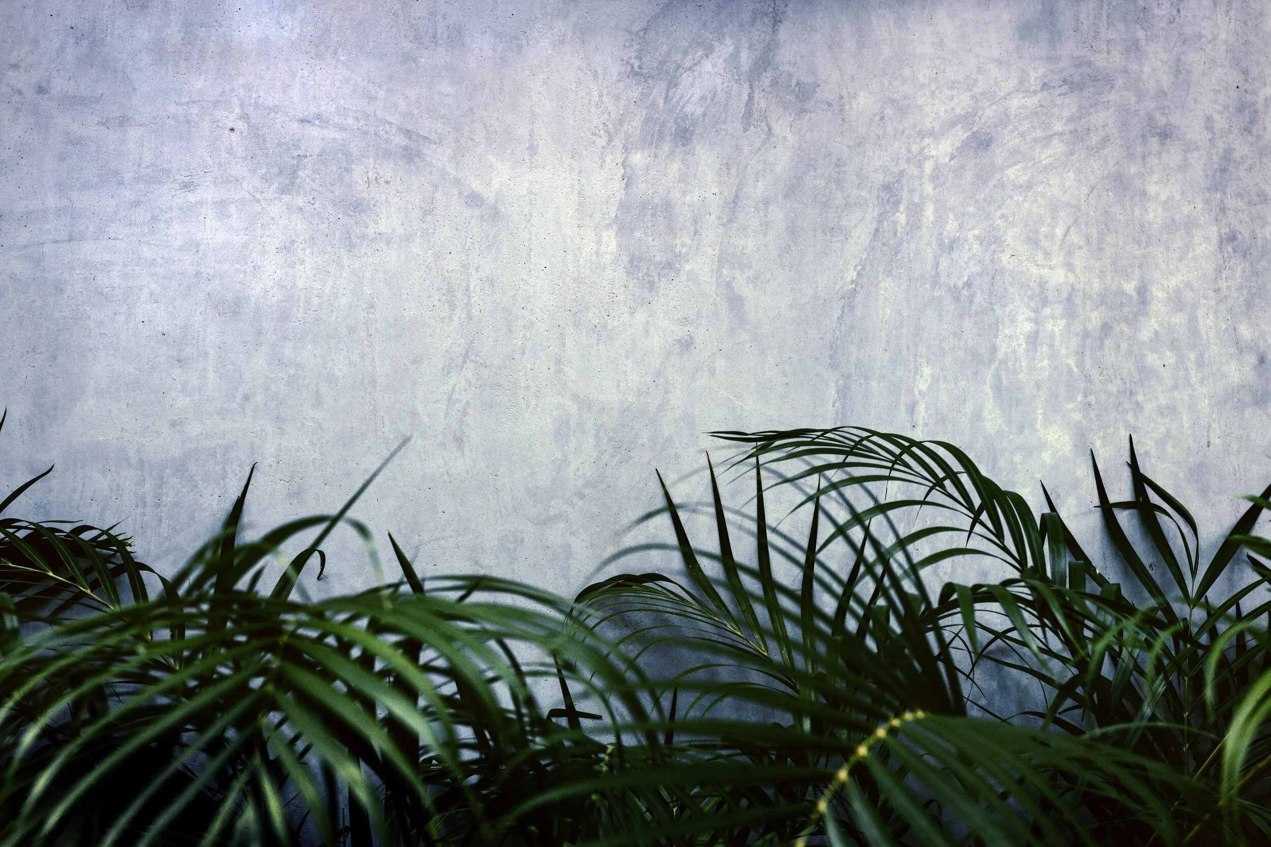 Palm Sunday
