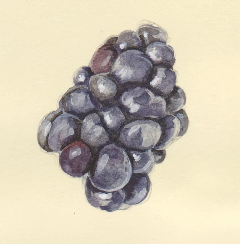 blackberry single.jpg