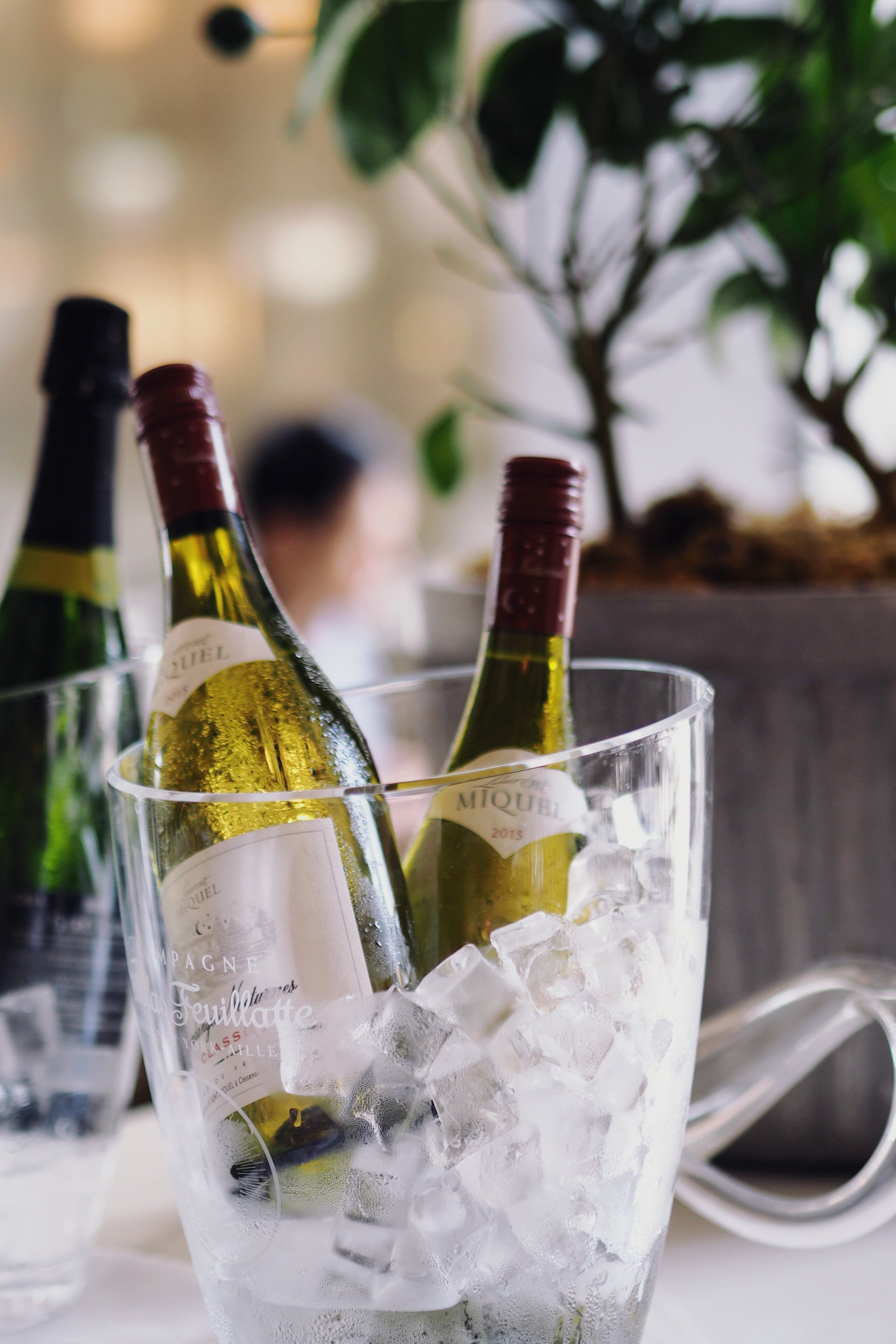 Bottle of bubbly? Yes! 