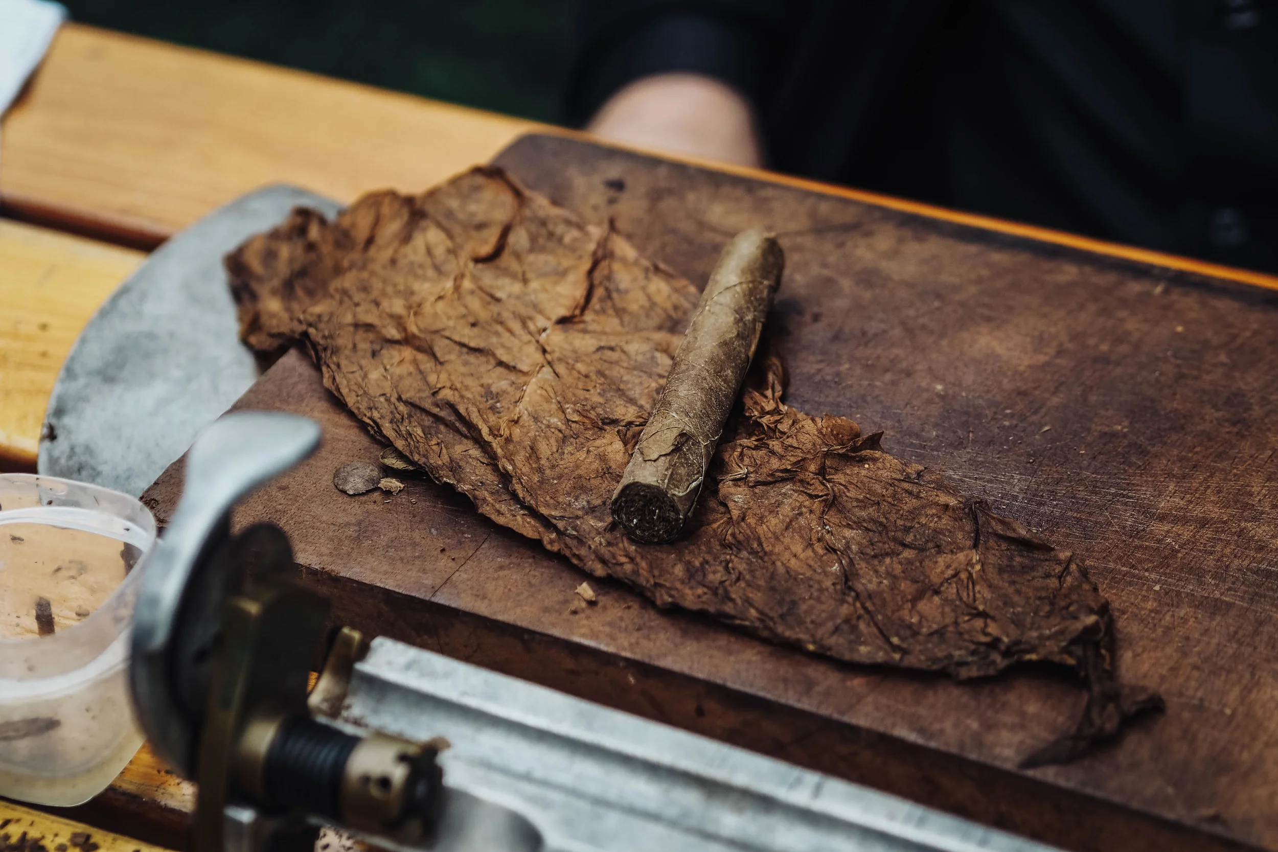 Cigar tobacco leaves. 