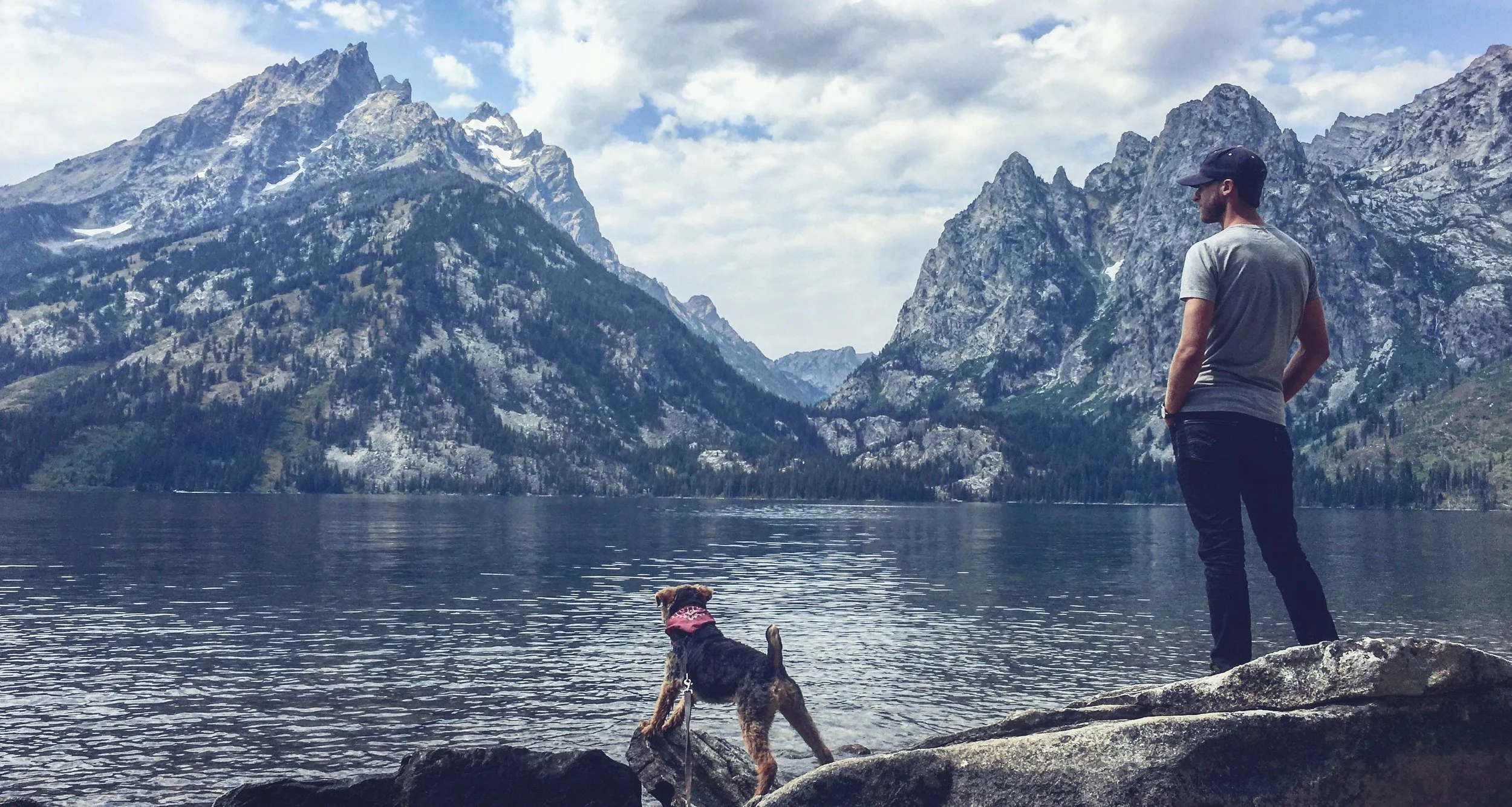 Drover Dogg: The Adventurepup