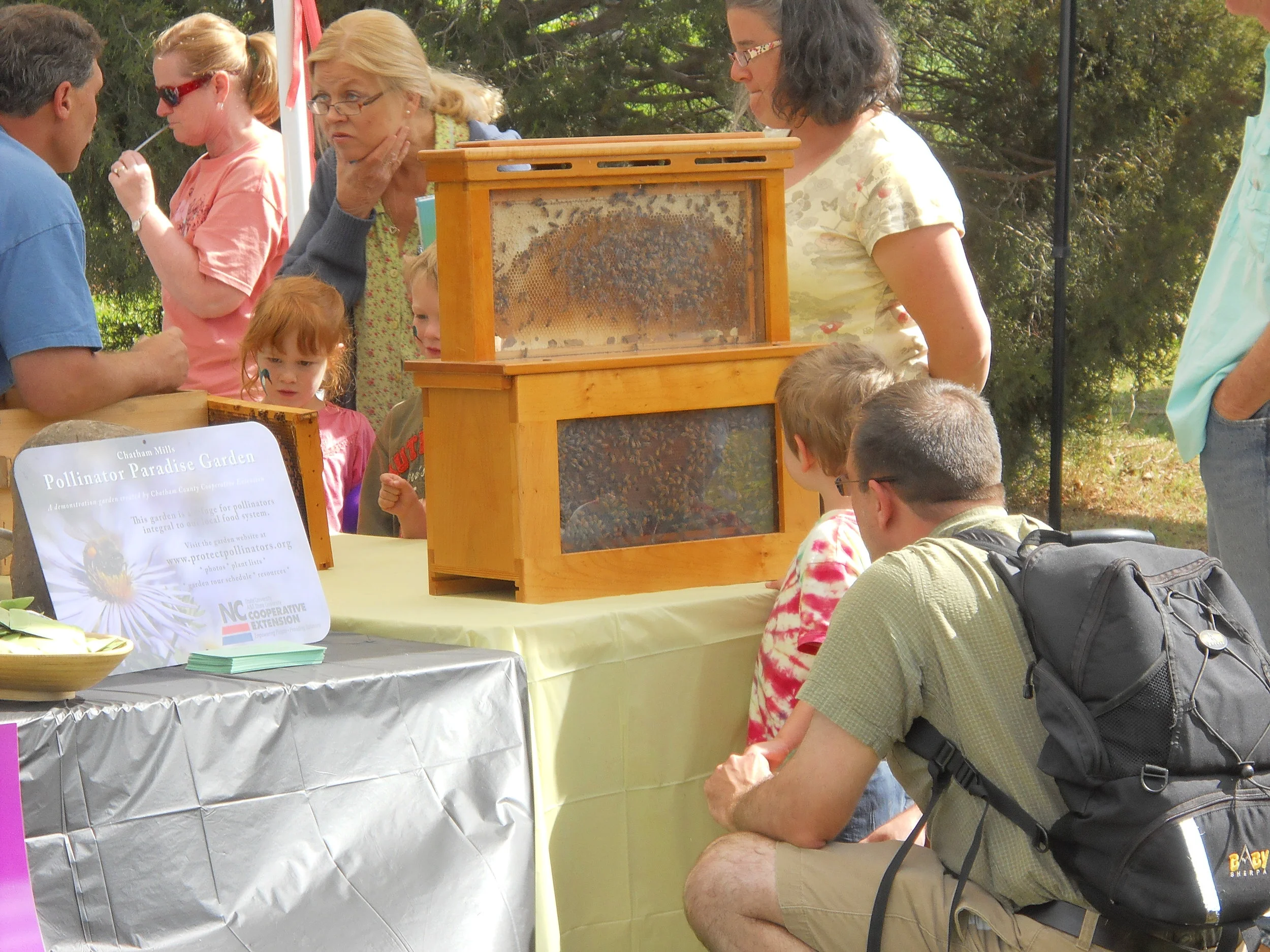 11th Annual Pollinator Day