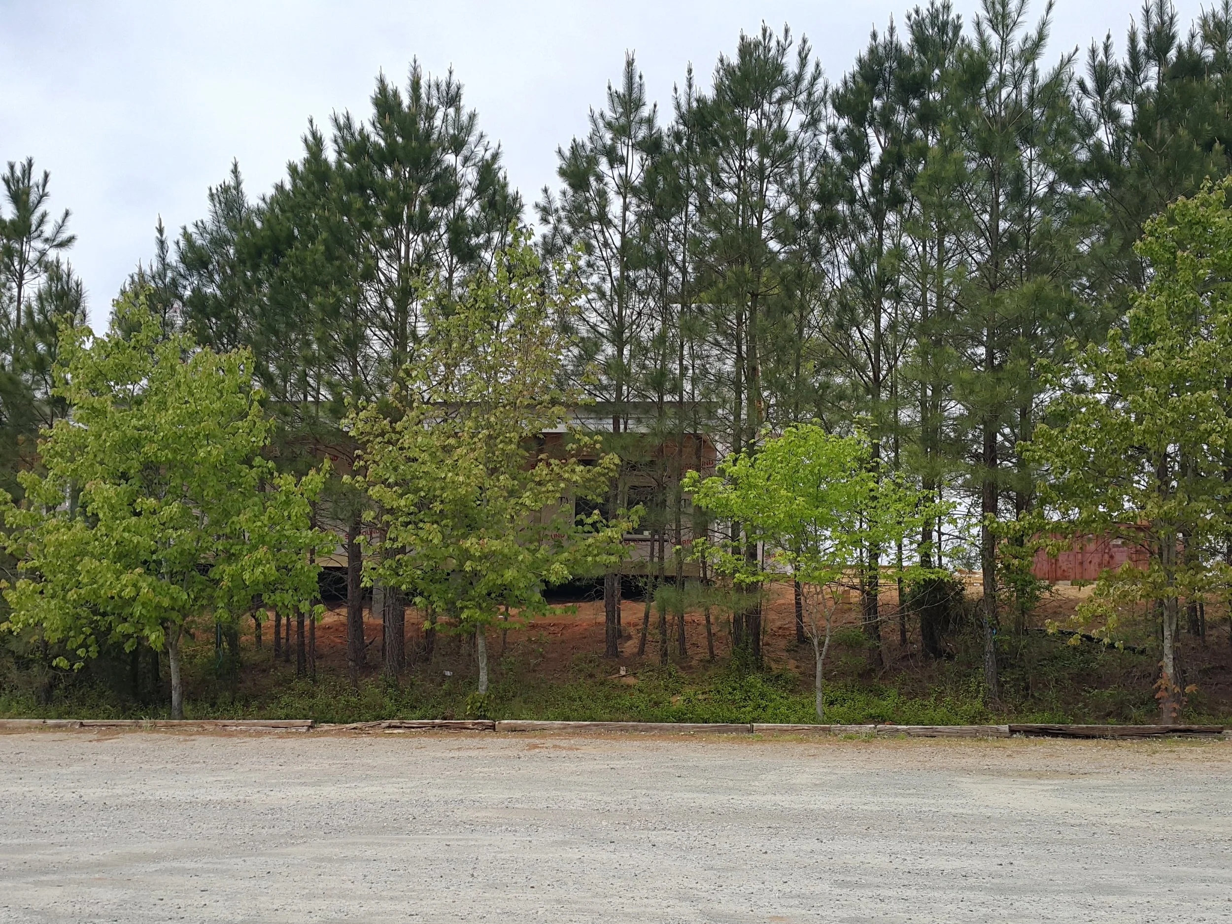 View from the Parking Lot