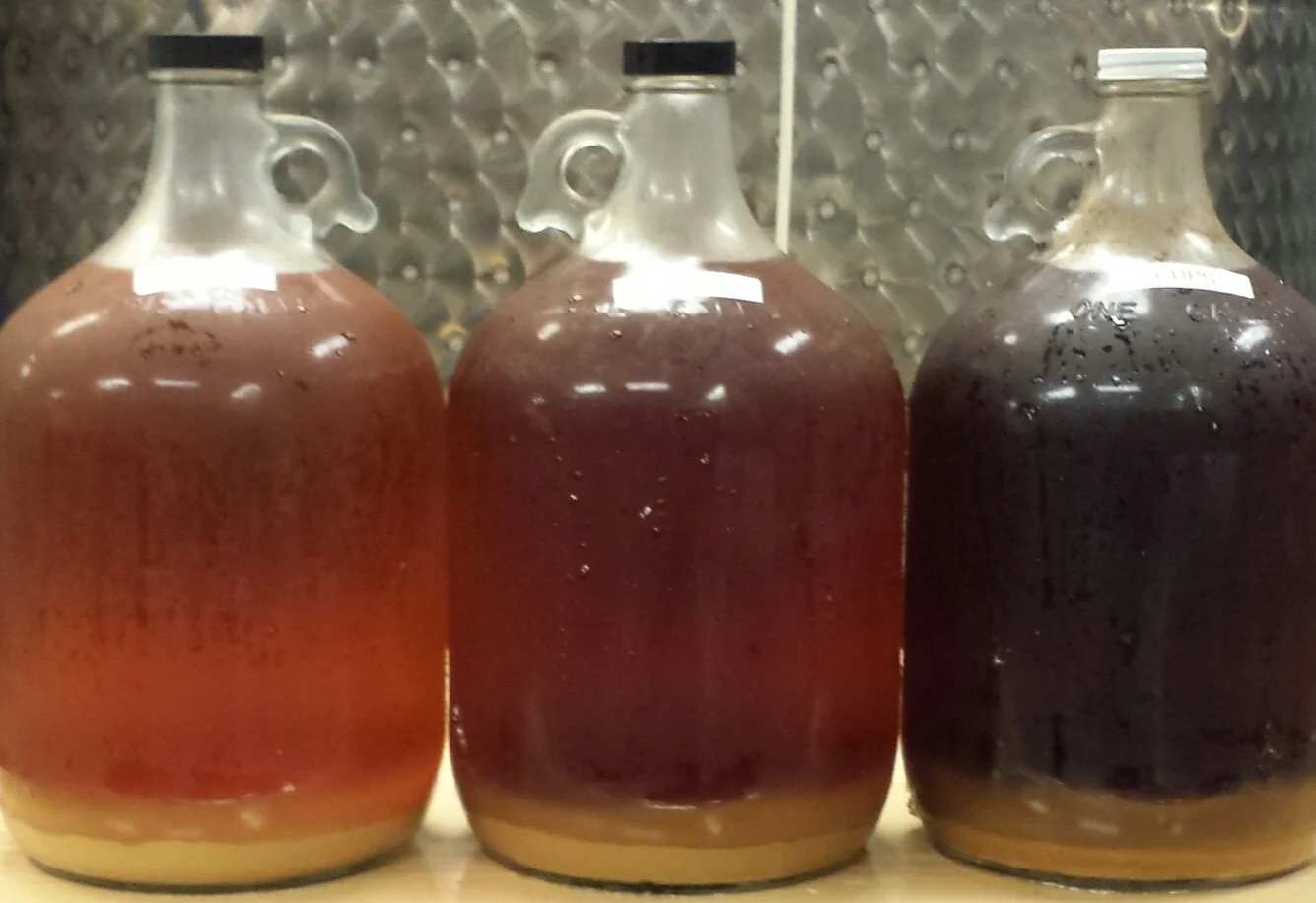 Intermediate Mead Making Class