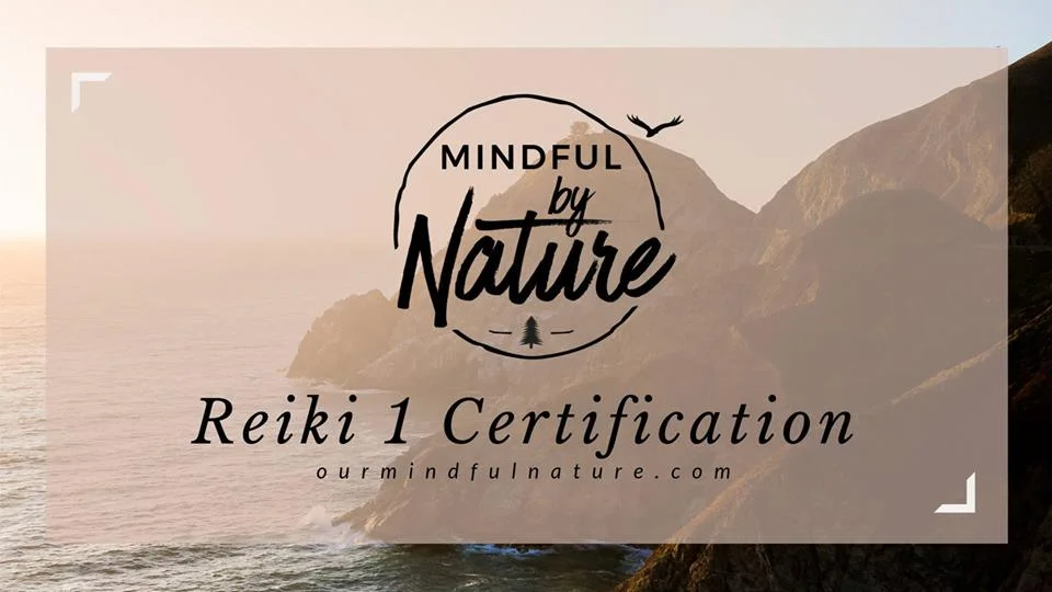 Reiki 1 Certification with Tom