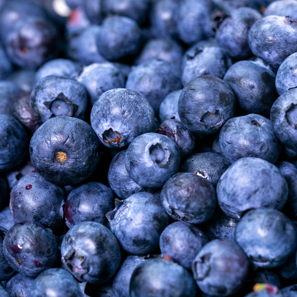 Blueberry Bonanza