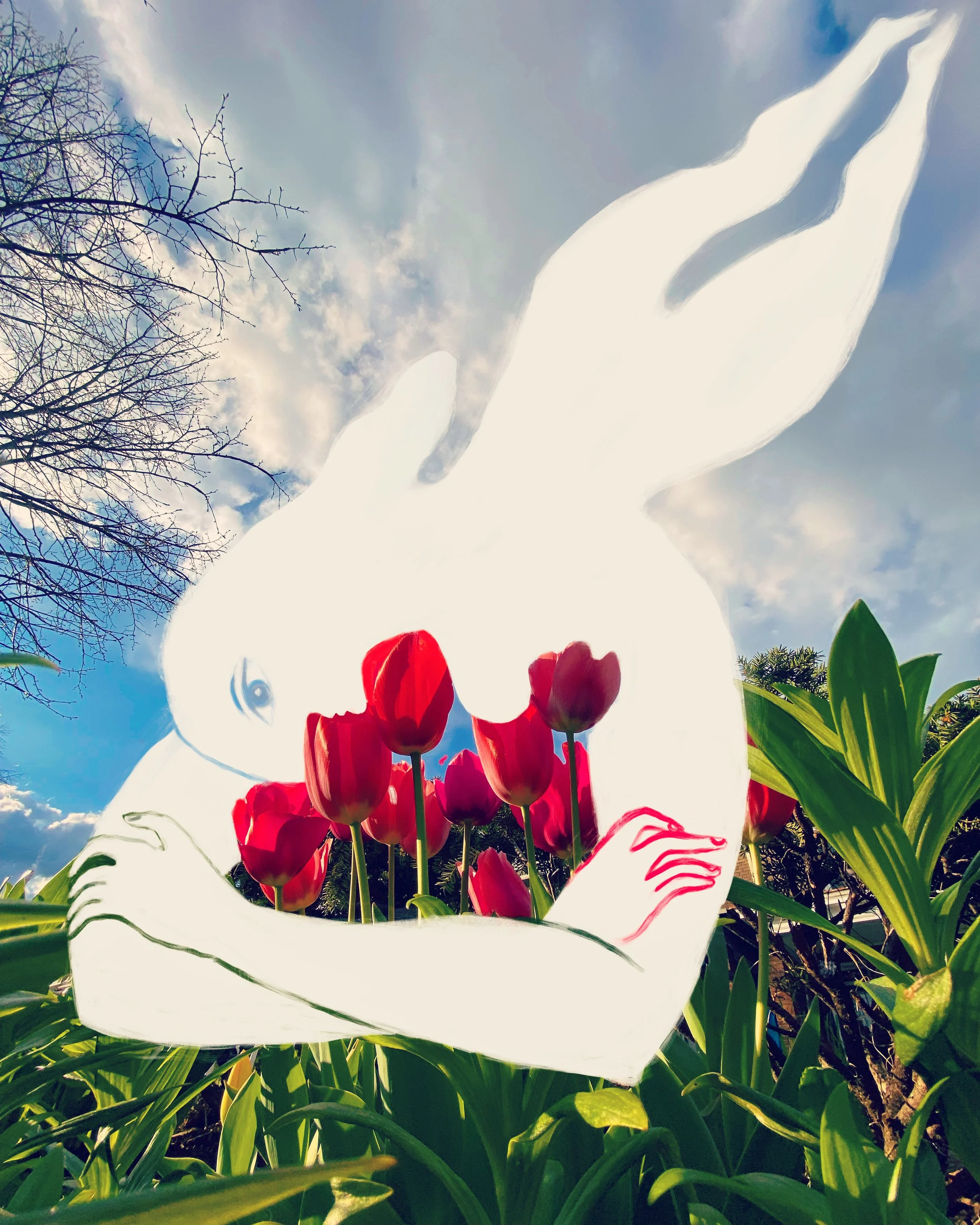 B7D25A59-8368-4124-884F-83EAAF7200D2 2.JPG