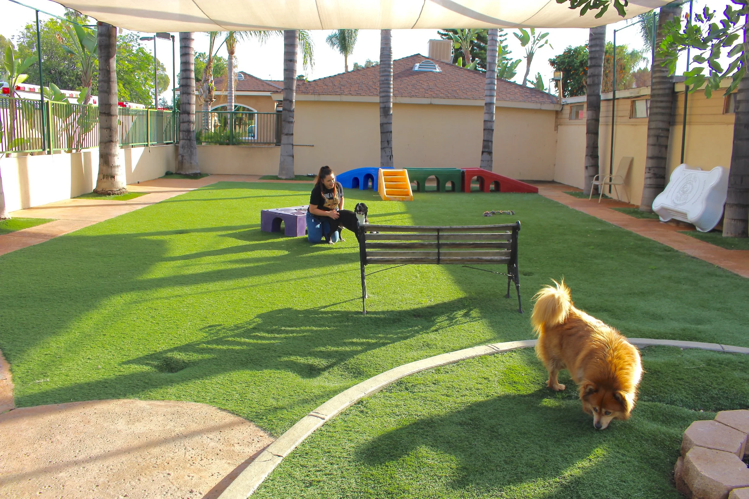 Dog Boarding — Heavenly Pet Resort